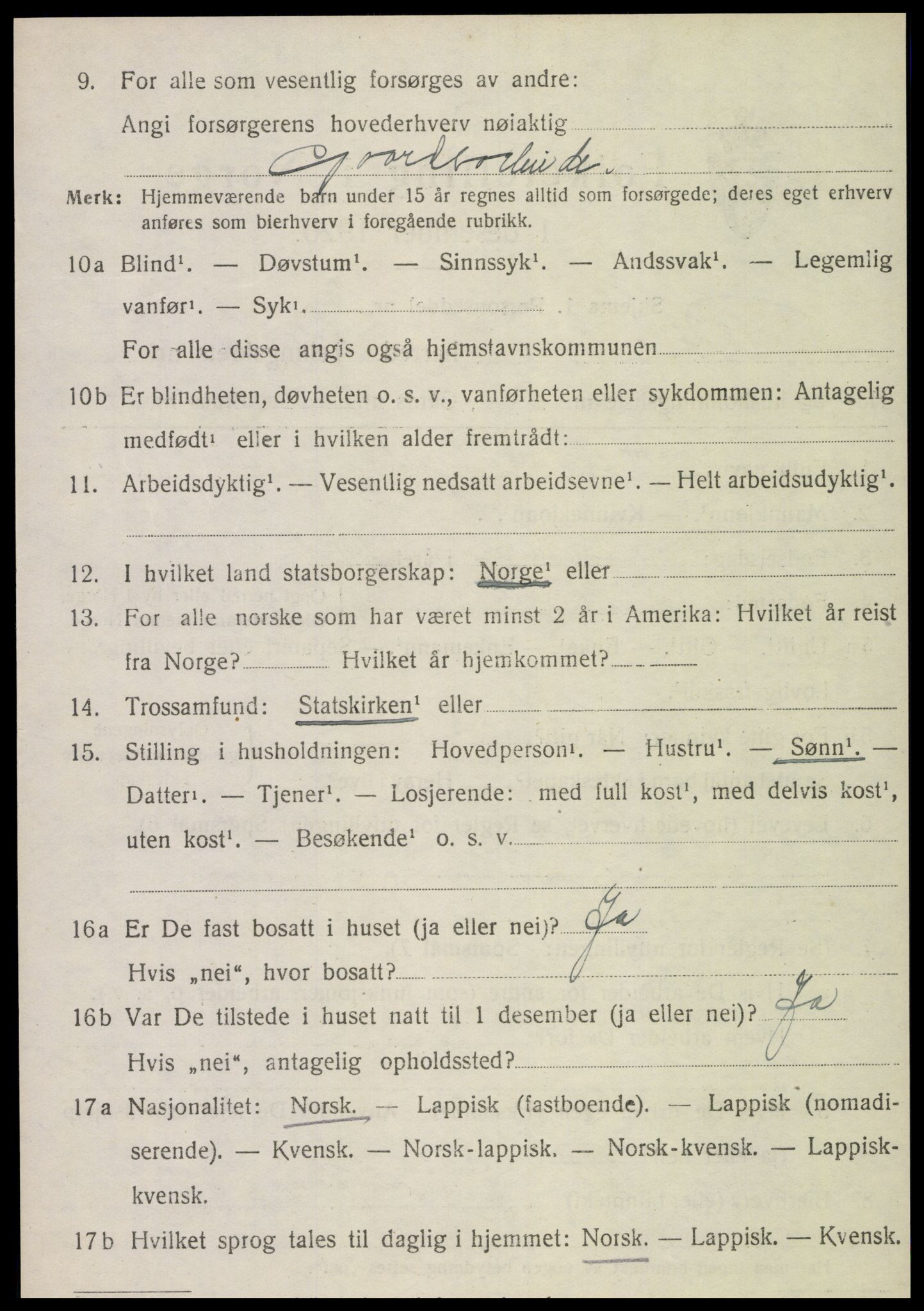 SAT, 1920 census for Røra, 1920, p. 1568