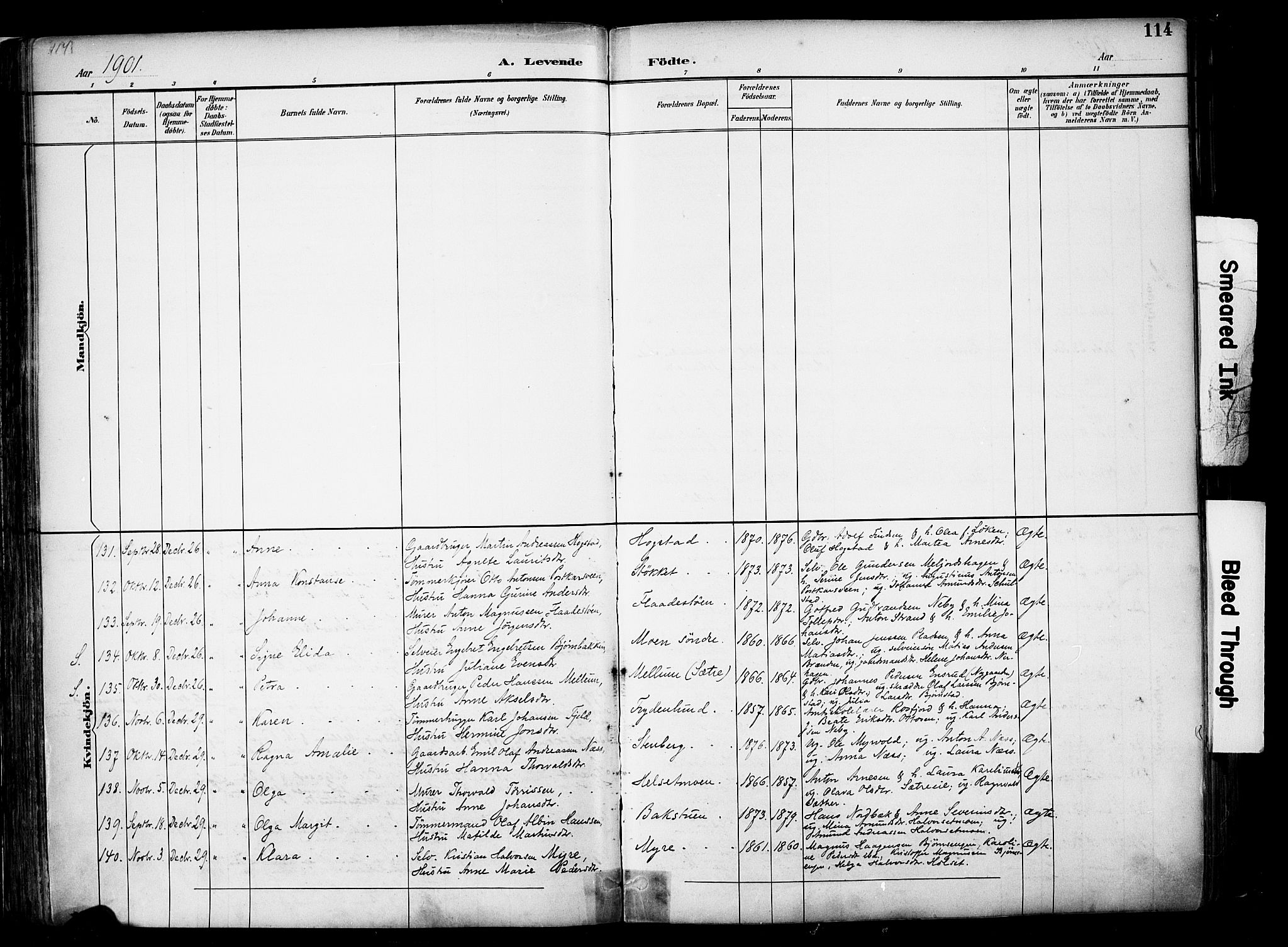 Elverum prestekontor, AV/SAH-PREST-044/H/Ha/Haa/L0014: Parish register (official) no. 14, 1891-1909, p. 114