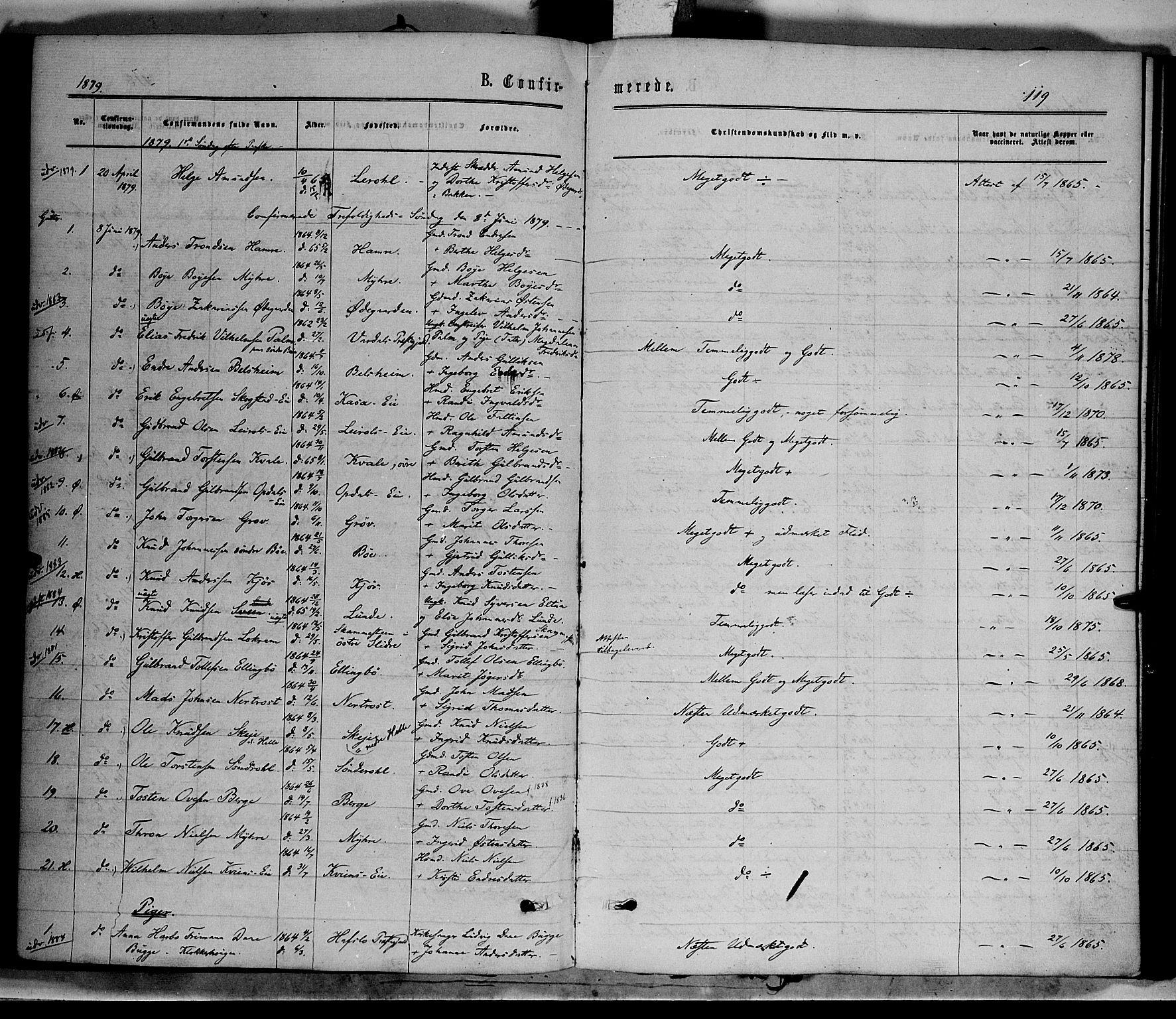 Vang prestekontor, Valdres, SAH/PREST-140/H/Ha/L0007: Parish register (official) no. 7, 1865-1881, p. 119