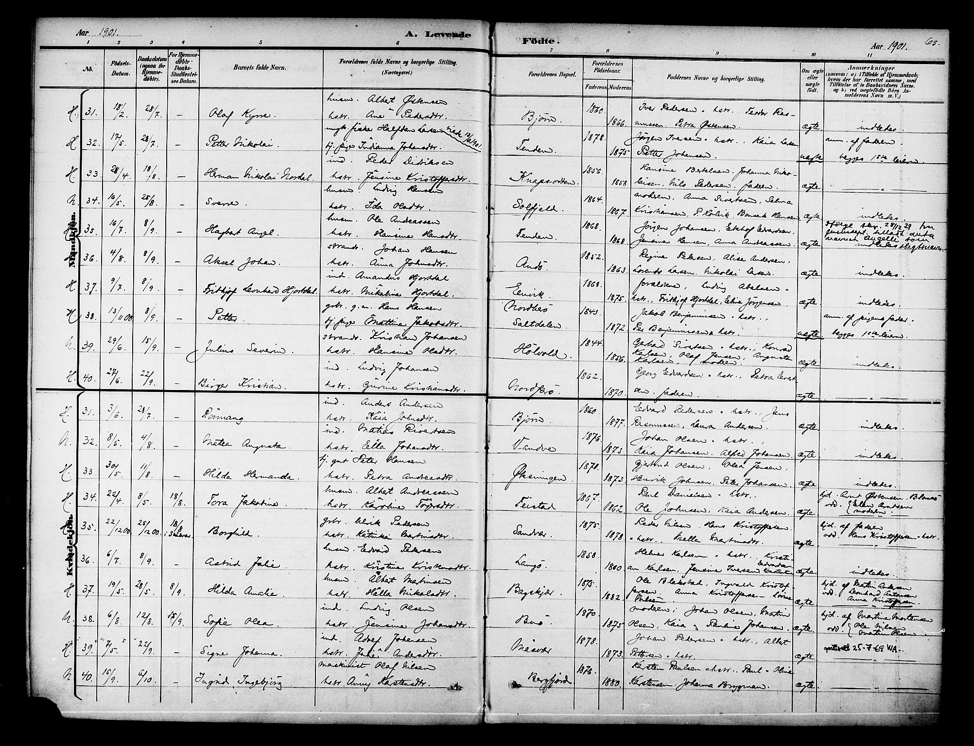 Ministerialprotokoller, klokkerbøker og fødselsregistre - Nordland, AV/SAT-A-1459/834/L0508: Parish register (official) no. 834A06, 1892-1901, p. 65