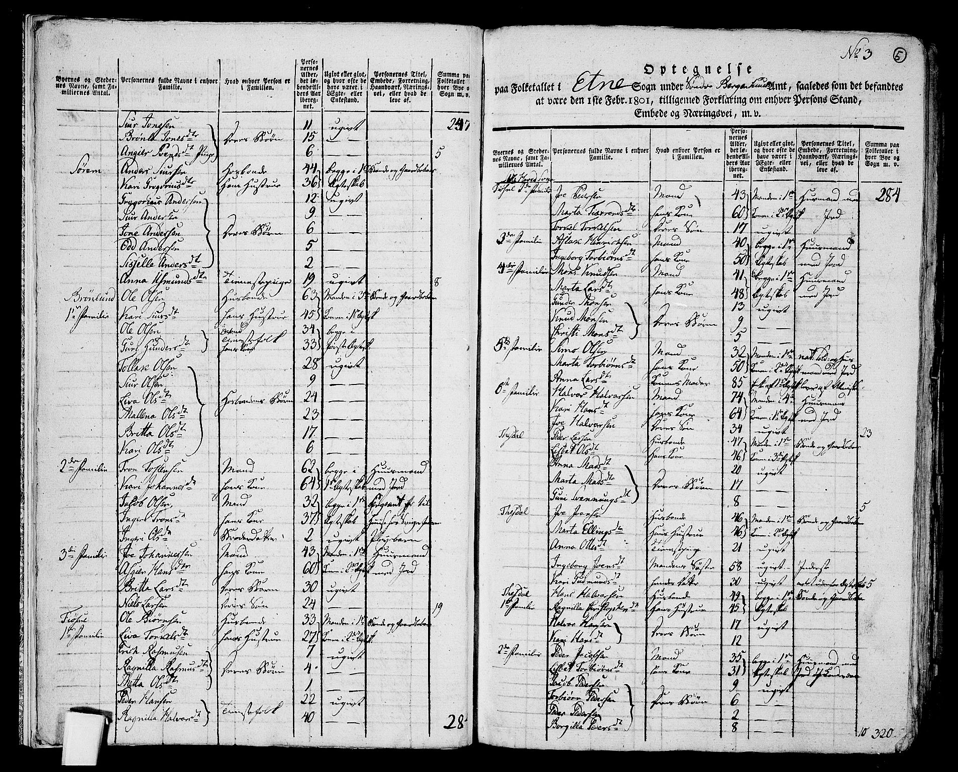 RA, 1801 census for 1211P Etne, 1801, p. 4b-5a