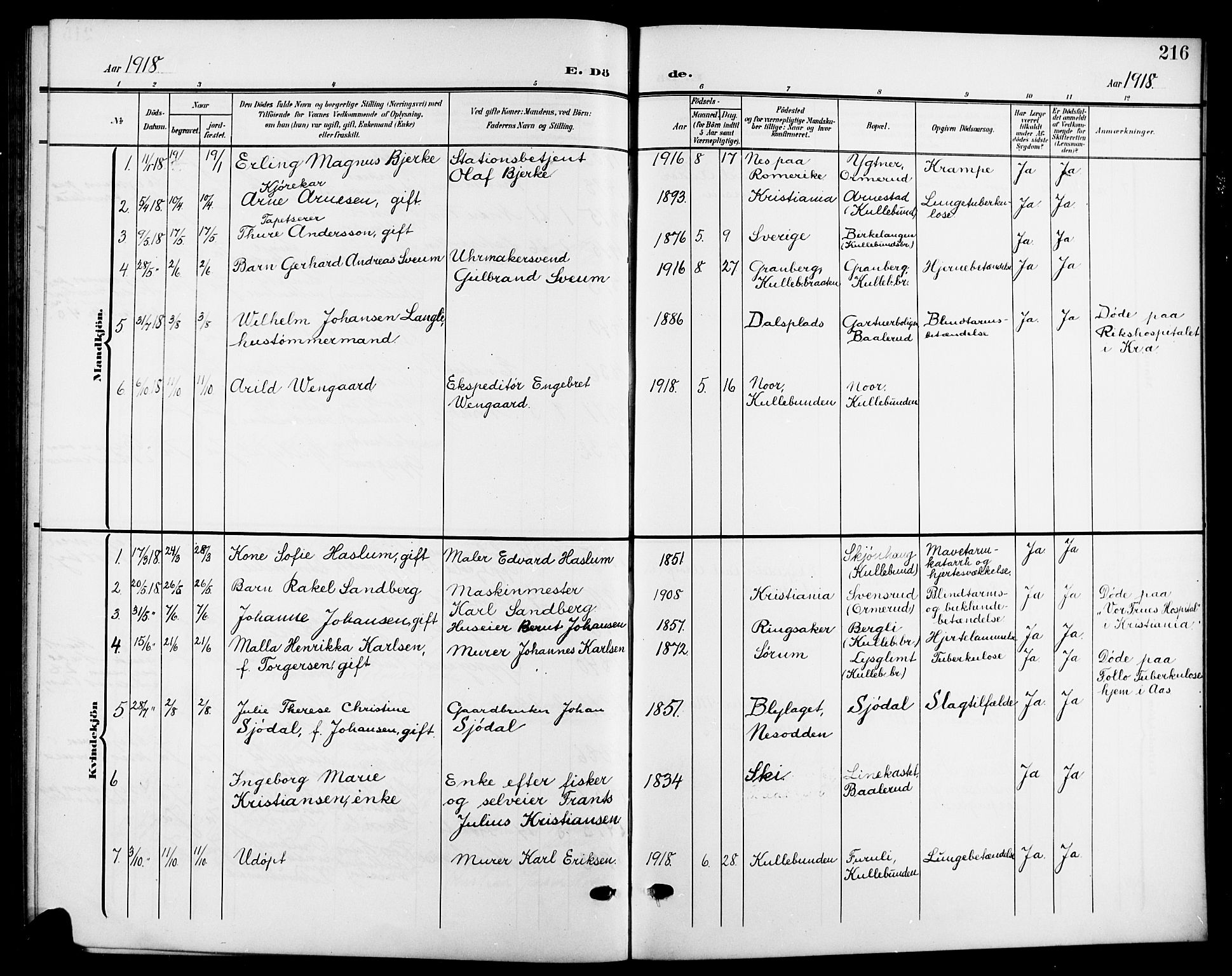 Nesodden prestekontor Kirkebøker, SAO/A-10013/G/Gb/L0001: Parish register (copy) no. II 1, 1905-1924, p. 216