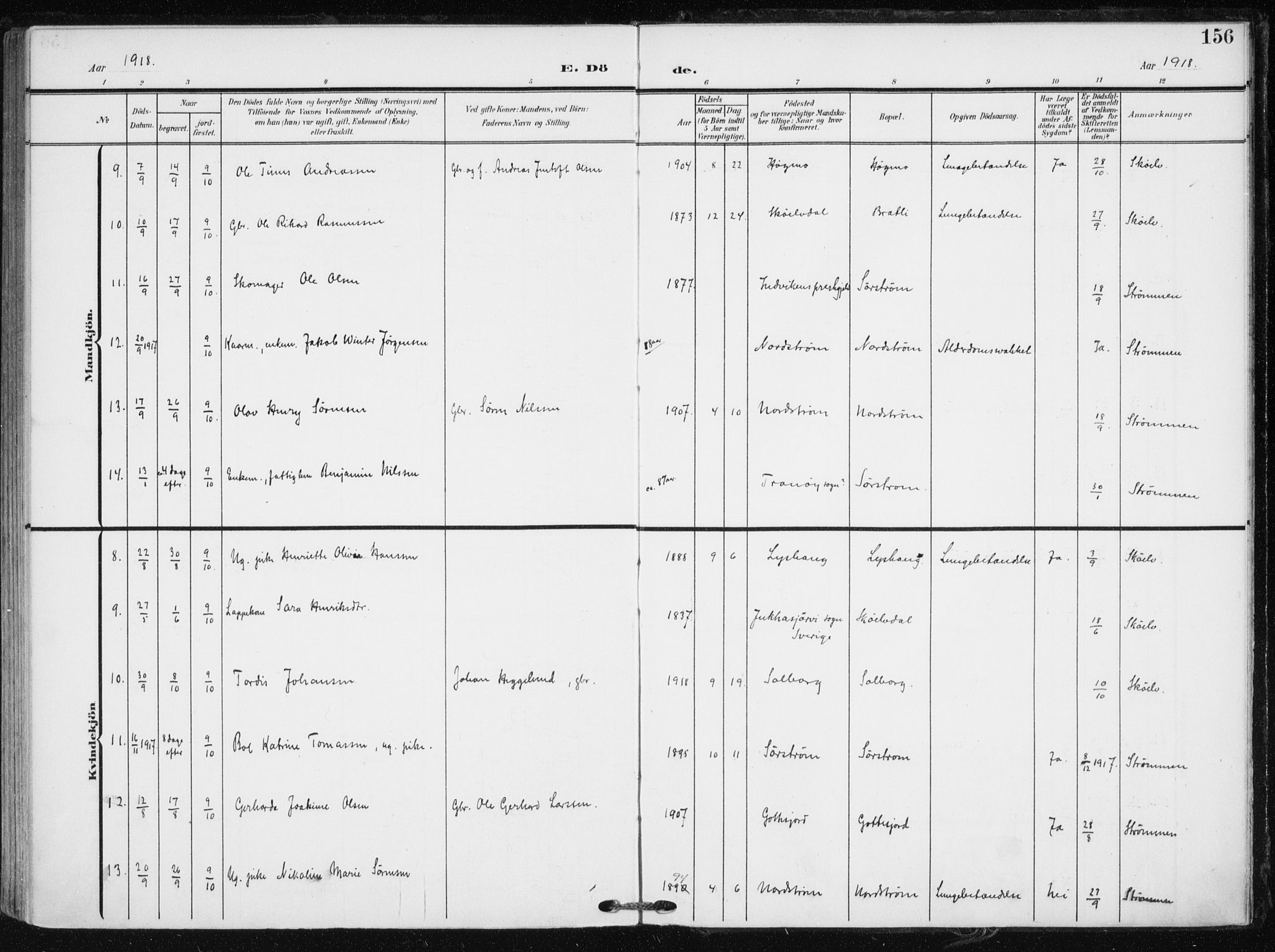 Tranøy sokneprestkontor, SATØ/S-1313/I/Ia/Iaa/L0012kirke: Parish register (official) no. 12, 1905-1918, p. 156