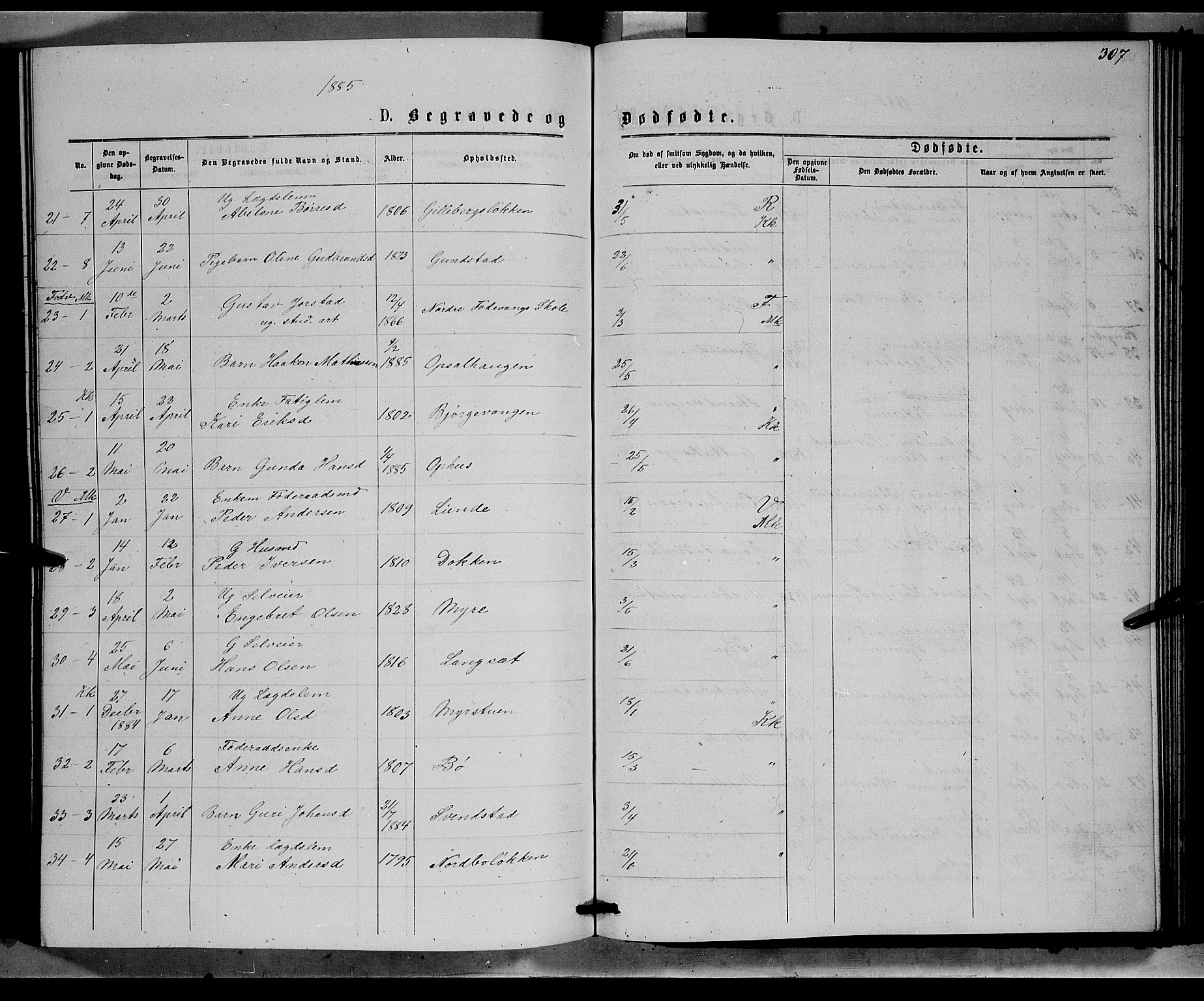 Ringebu prestekontor, AV/SAH-PREST-082/H/Ha/Hab/L0006: Parish register (copy) no. 6, 1880-1898, p. 307