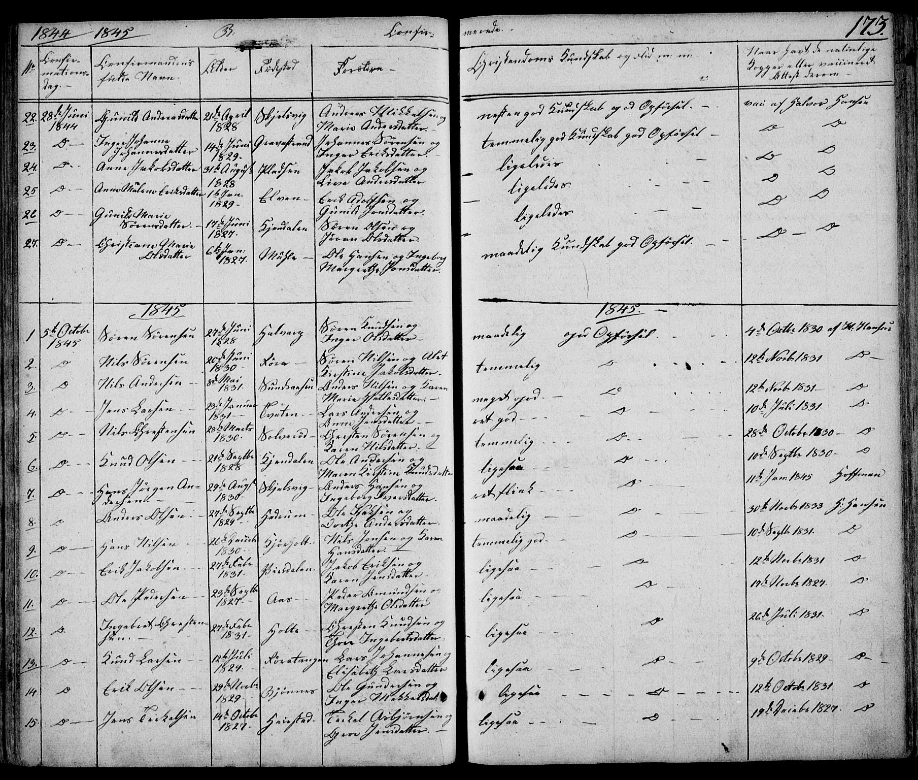 Eidanger kirkebøker, SAKO/A-261/F/Fa/L0008: Parish register (official) no. 8, 1831-1858, p. 173