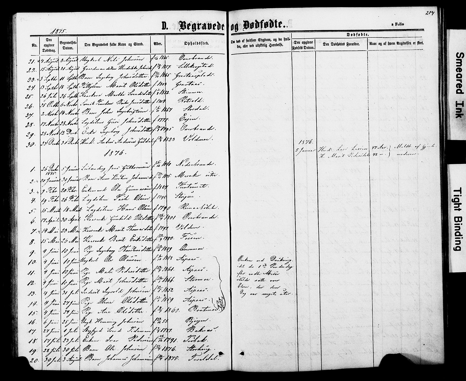 Ministerialprotokoller, klokkerbøker og fødselsregistre - Nord-Trøndelag, SAT/A-1458/706/L0049: Parish register (copy) no. 706C01, 1864-1895, p. 214