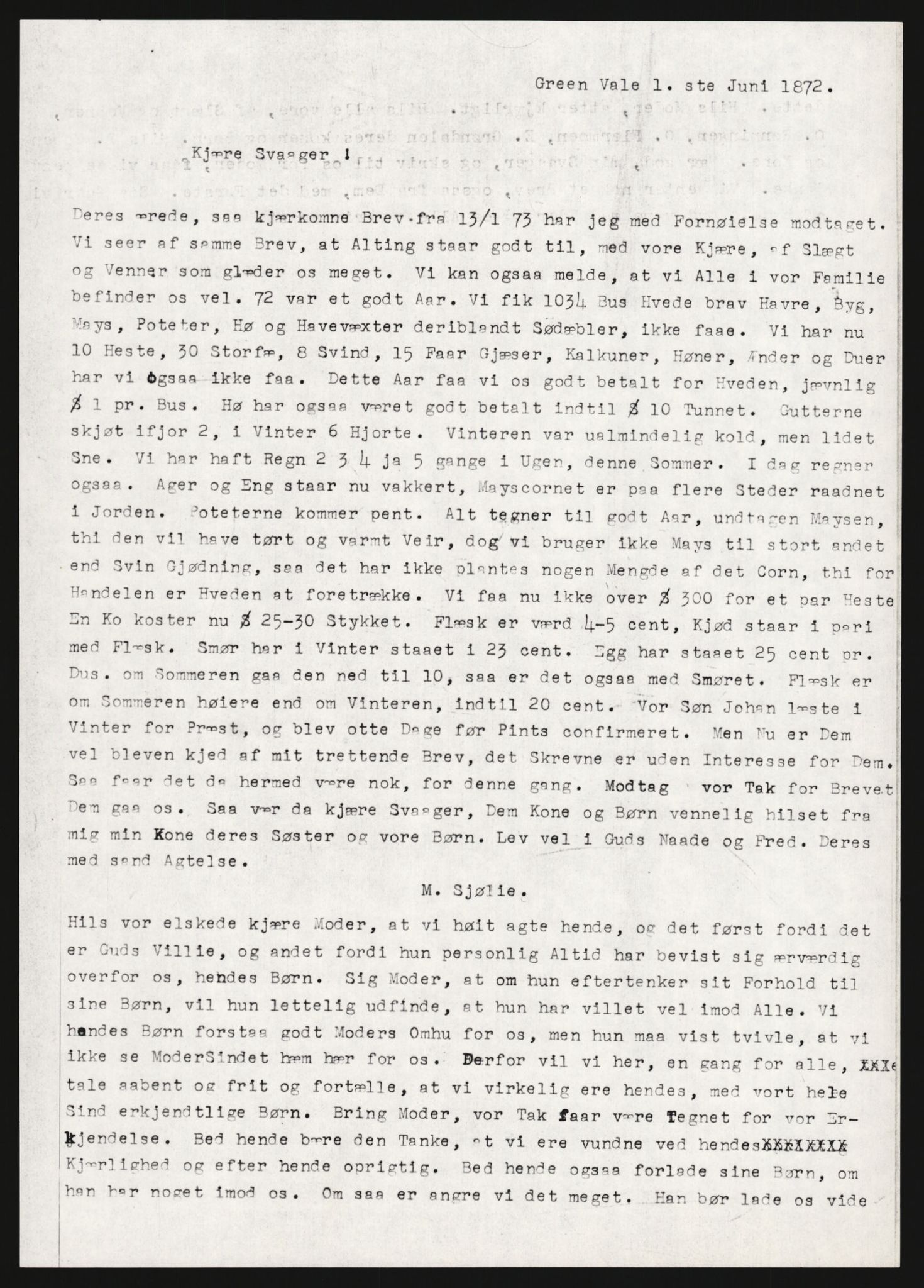 Samlinger til kildeutgivelse, Amerikabrevene, AV/RA-EA-4057/F/L0009: Innlån fra Hedmark: Statsarkivet i Hamar - Wærenskjold, 1838-1914, p. 18