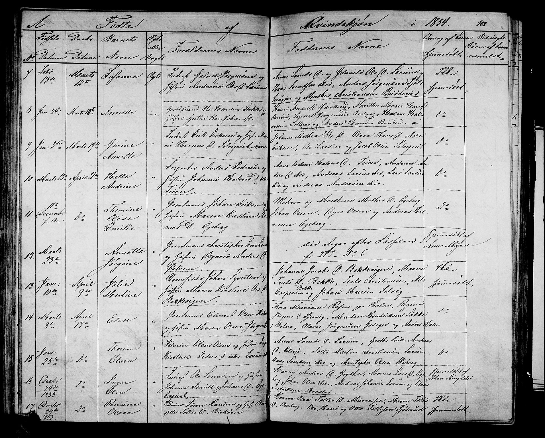 Sande Kirkebøker, AV/SAKO-A-53/G/Ga/L0002: Parish register (copy) no. 2, 1847-1863, p. 102