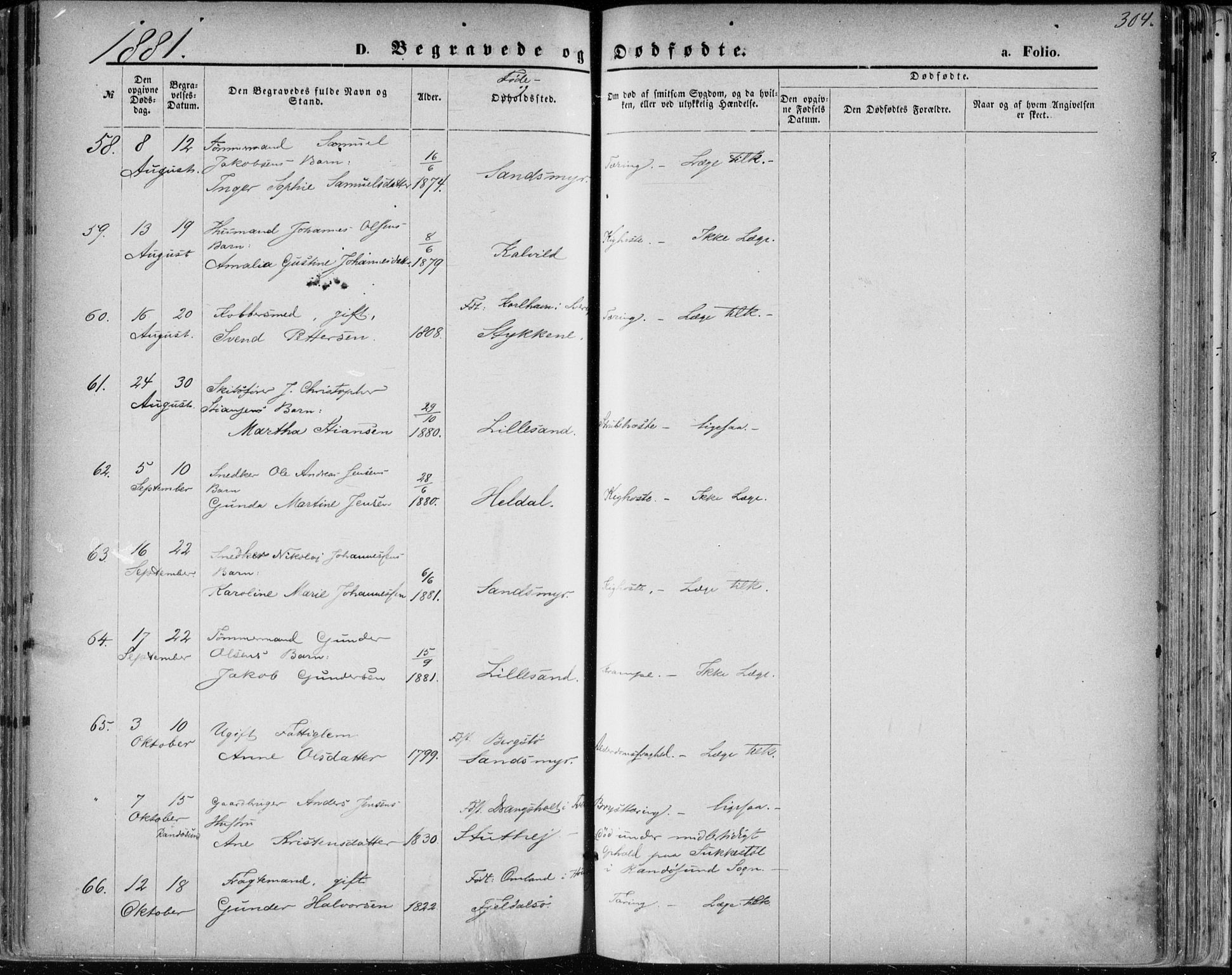 Vestre Moland sokneprestkontor, AV/SAK-1111-0046/F/Fa/Fab/L0008: Parish register (official) no. A 8, 1873-1883, p. 304