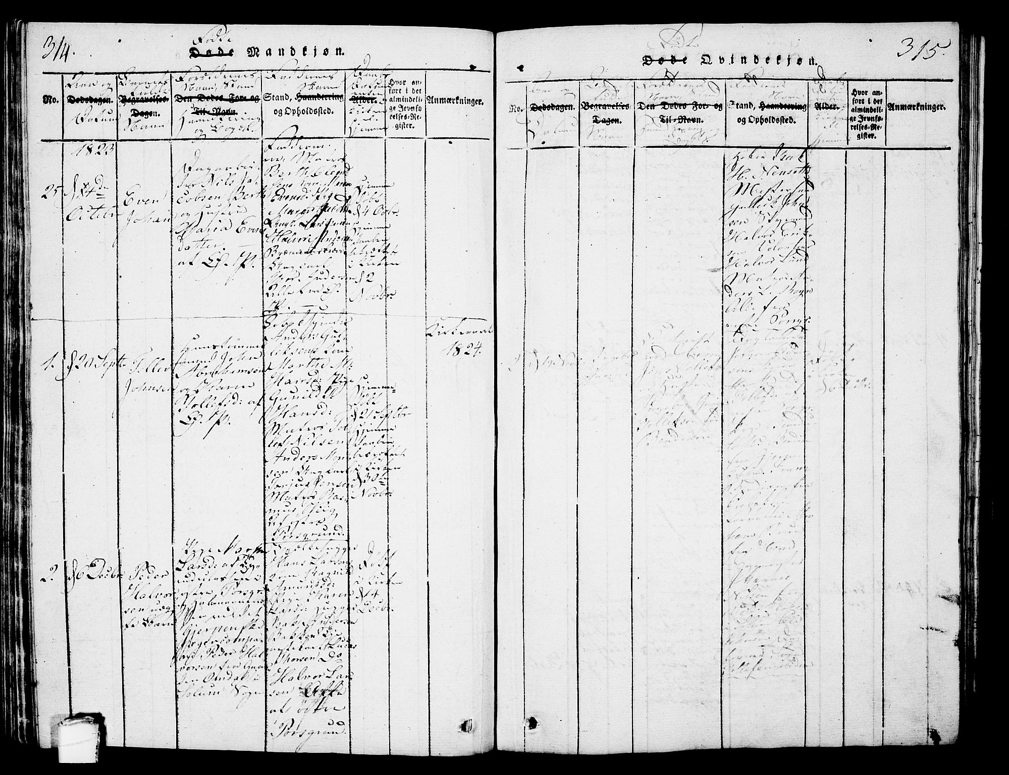 Porsgrunn kirkebøker , SAKO/A-104/G/Gb/L0001: Parish register (copy) no. II 1, 1817-1828, p. 314-315