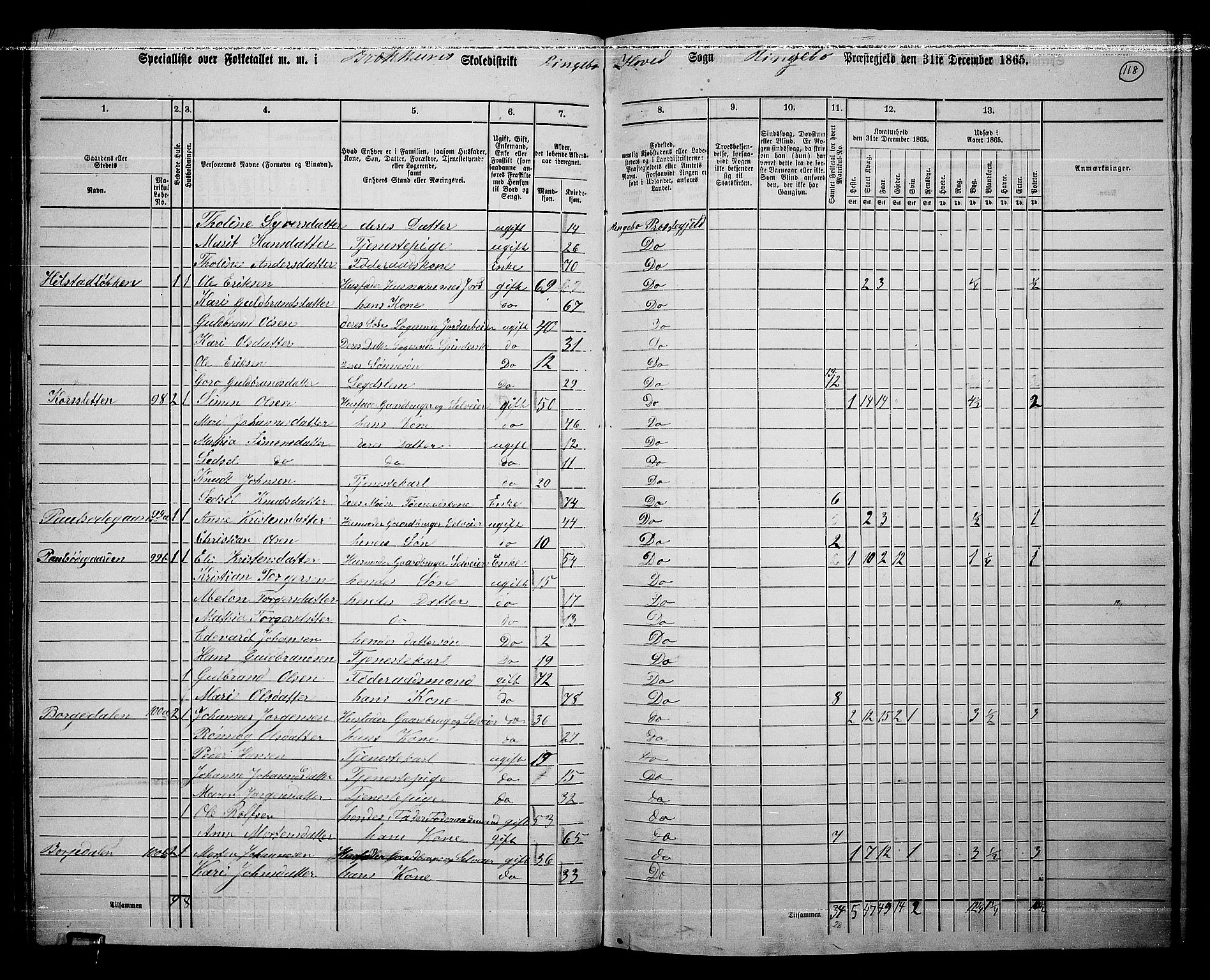 RA, 1865 census for Ringebu, 1865, p. 96