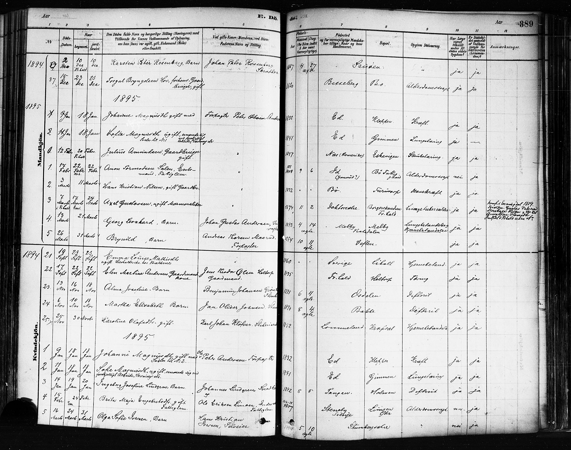 Idd prestekontor Kirkebøker, AV/SAO-A-10911/F/Fc/L0006b: Parish register (official) no. III 6B, 1878-1903, p. 389