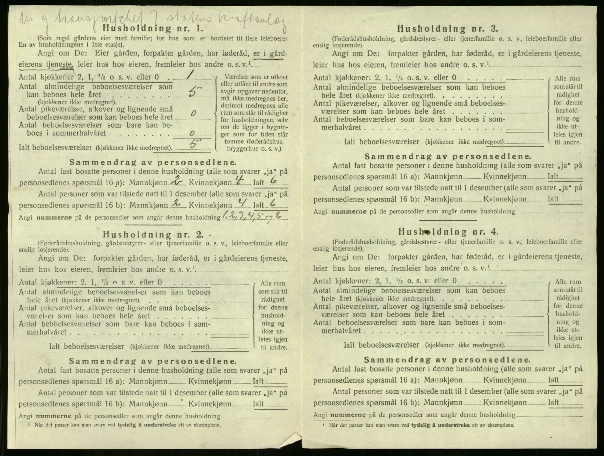 SAKO, 1920 census for Nore, 1920, p. 703