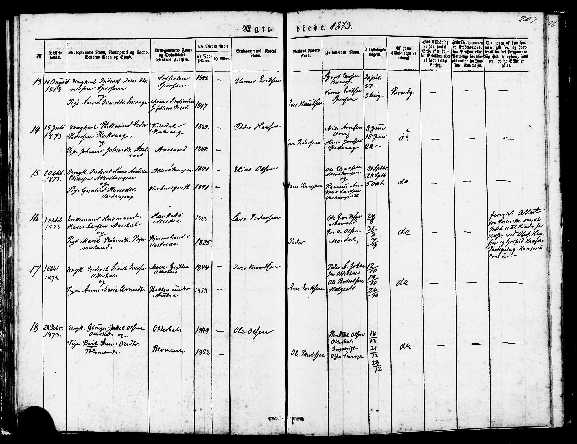 Ministerialprotokoller, klokkerbøker og fødselsregistre - Møre og Romsdal, AV/SAT-A-1454/560/L0720: Parish register (official) no. 560A04, 1873-1878, p. 207