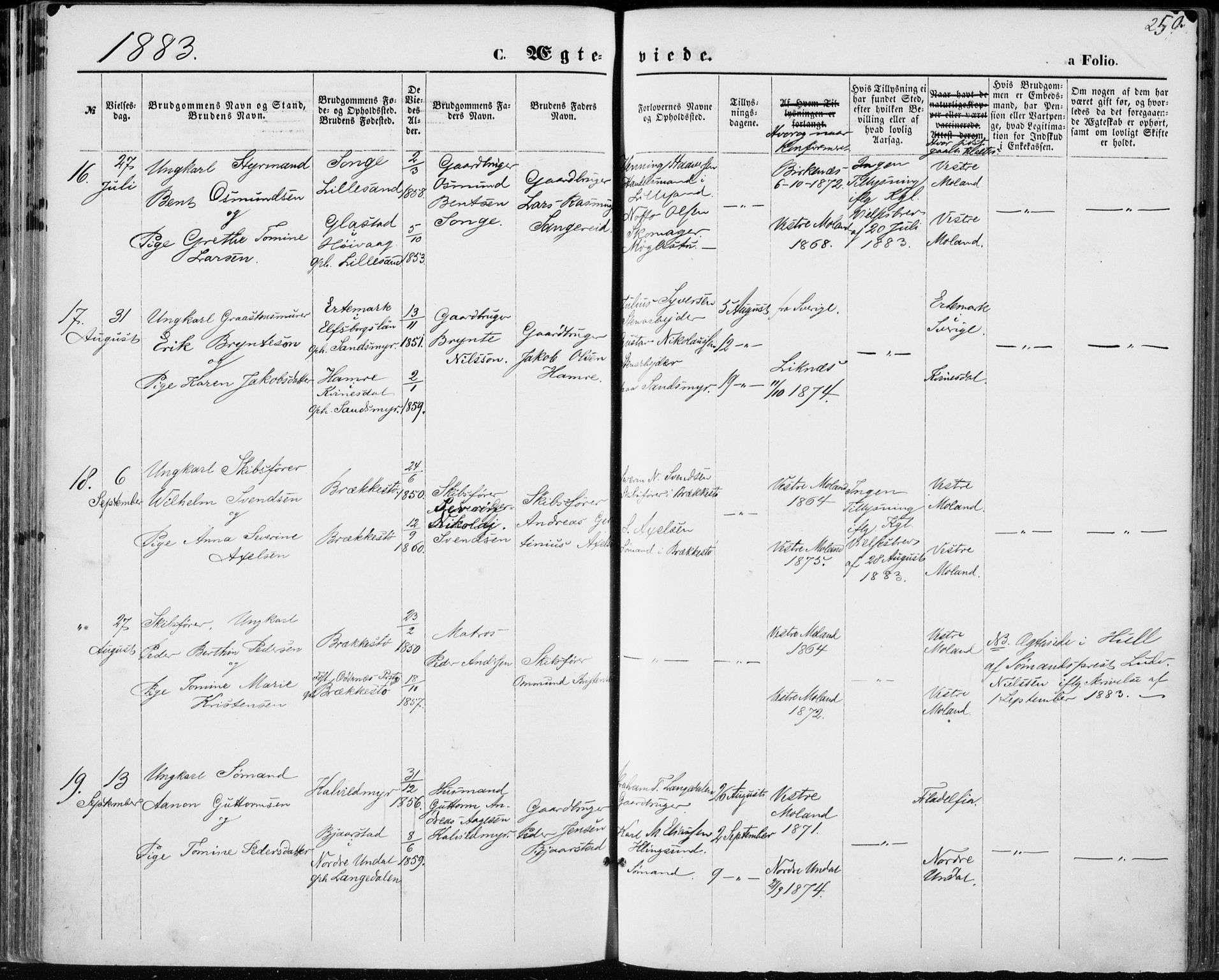 Vestre Moland sokneprestkontor, AV/SAK-1111-0046/F/Fa/Fab/L0008: Parish register (official) no. A 8, 1873-1883, p. 250