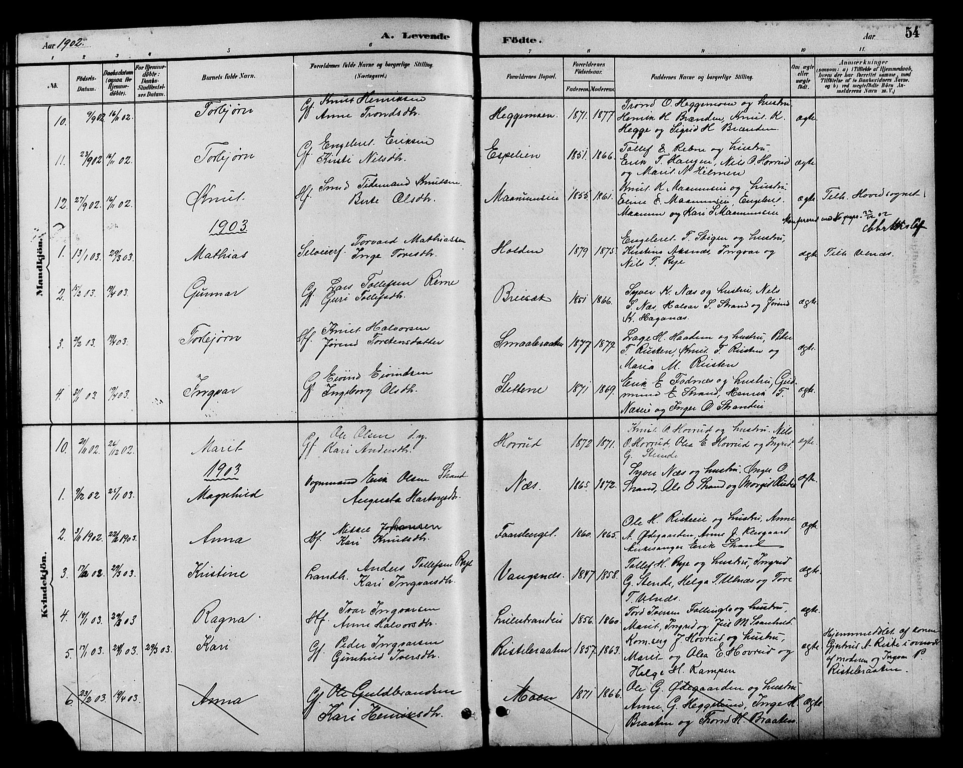Nord-Aurdal prestekontor, SAH/PREST-132/H/Ha/Hab/L0007: Parish register (copy) no. 7, 1883-1910, p. 54