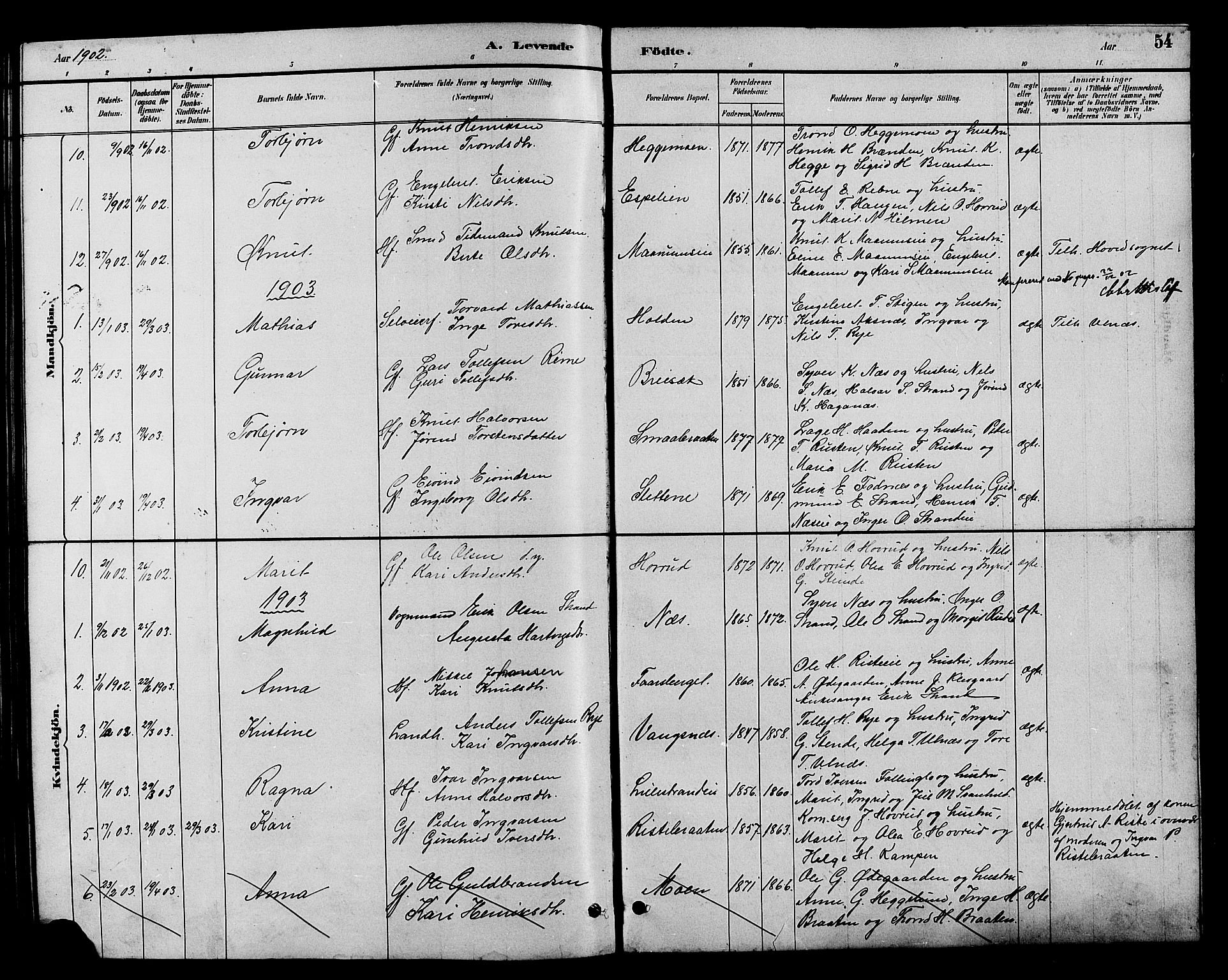 Nord-Aurdal prestekontor, AV/SAH-PREST-132/H/Ha/Hab/L0007: Parish register (copy) no. 7, 1883-1910, p. 54