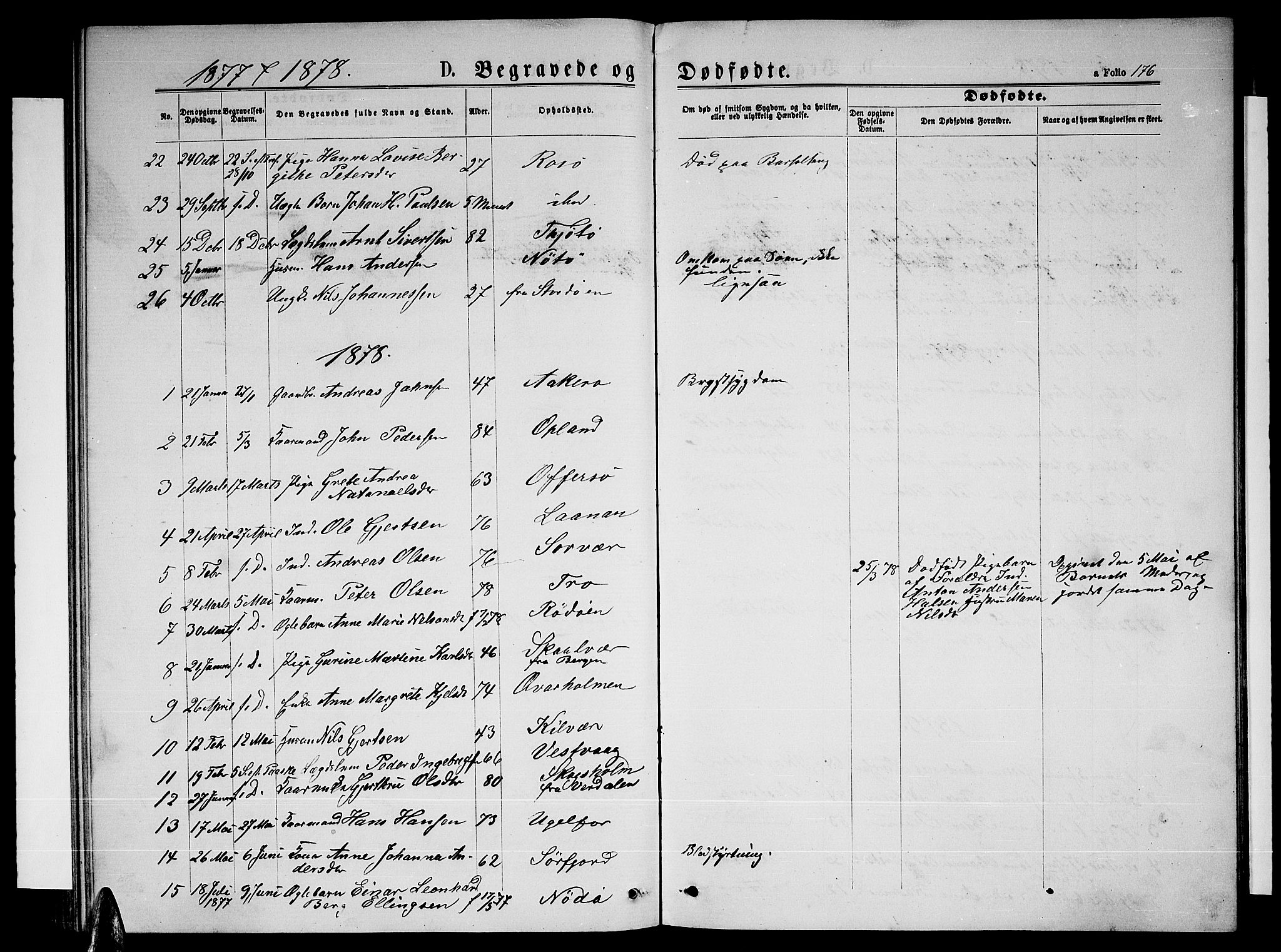 Ministerialprotokoller, klokkerbøker og fødselsregistre - Nordland, AV/SAT-A-1459/817/L0267: Parish register (copy) no. 817C02, 1870-1883, p. 176