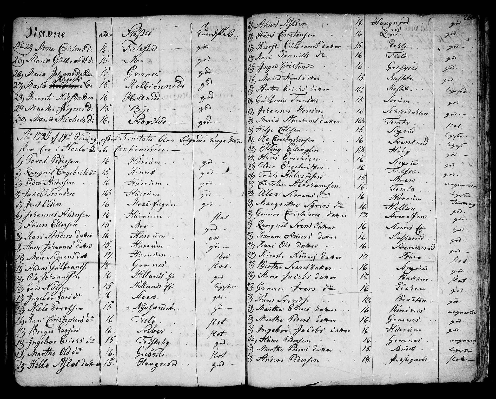 Hole kirkebøker, SAKO/A-228/F/Fa/L0002: Parish register (official) no. I 2, 1766-1814, p. 260