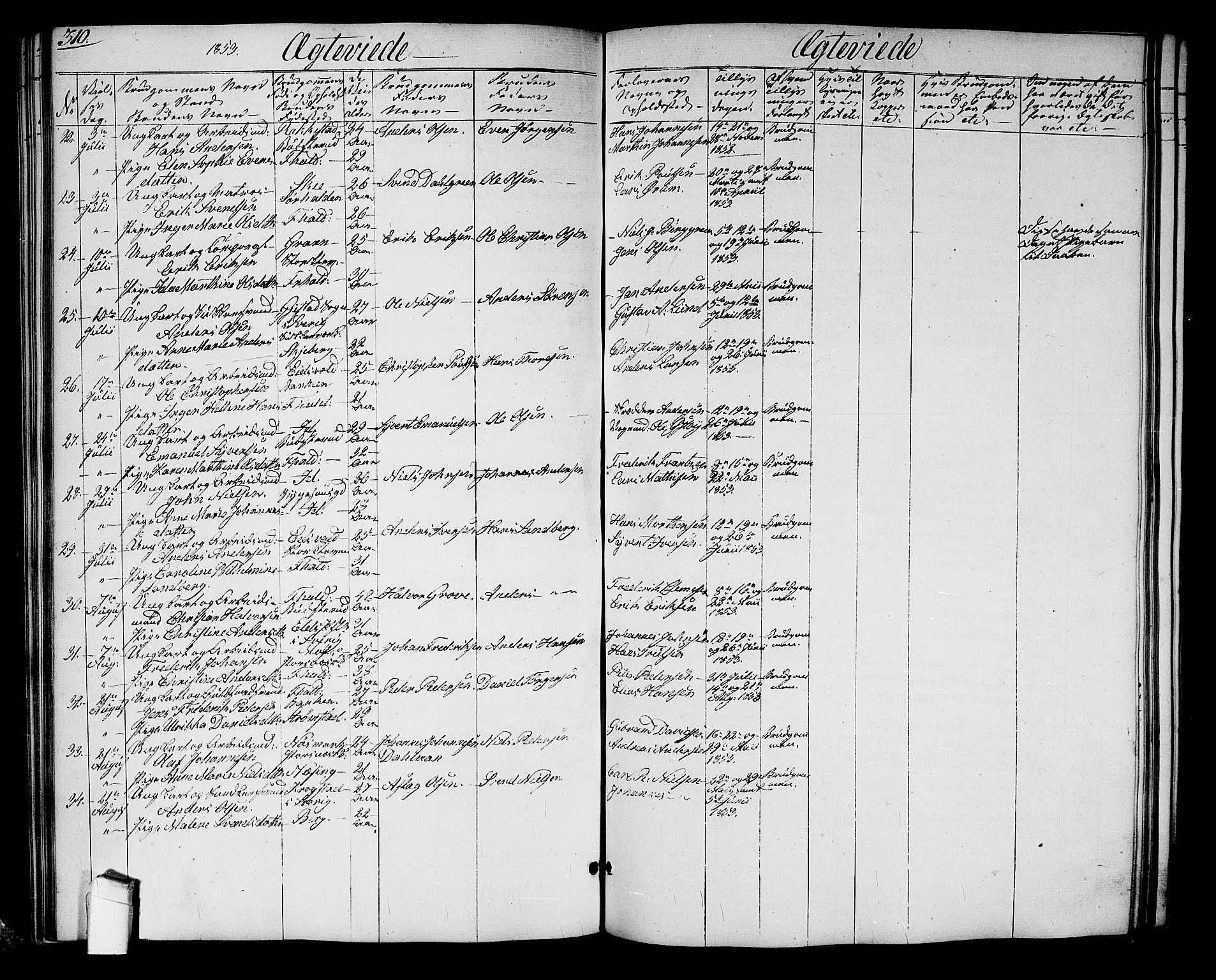 Halden prestekontor Kirkebøker, AV/SAO-A-10909/G/Ga/L0004: Parish register (copy) no. 4, 1845-1854, p. 310