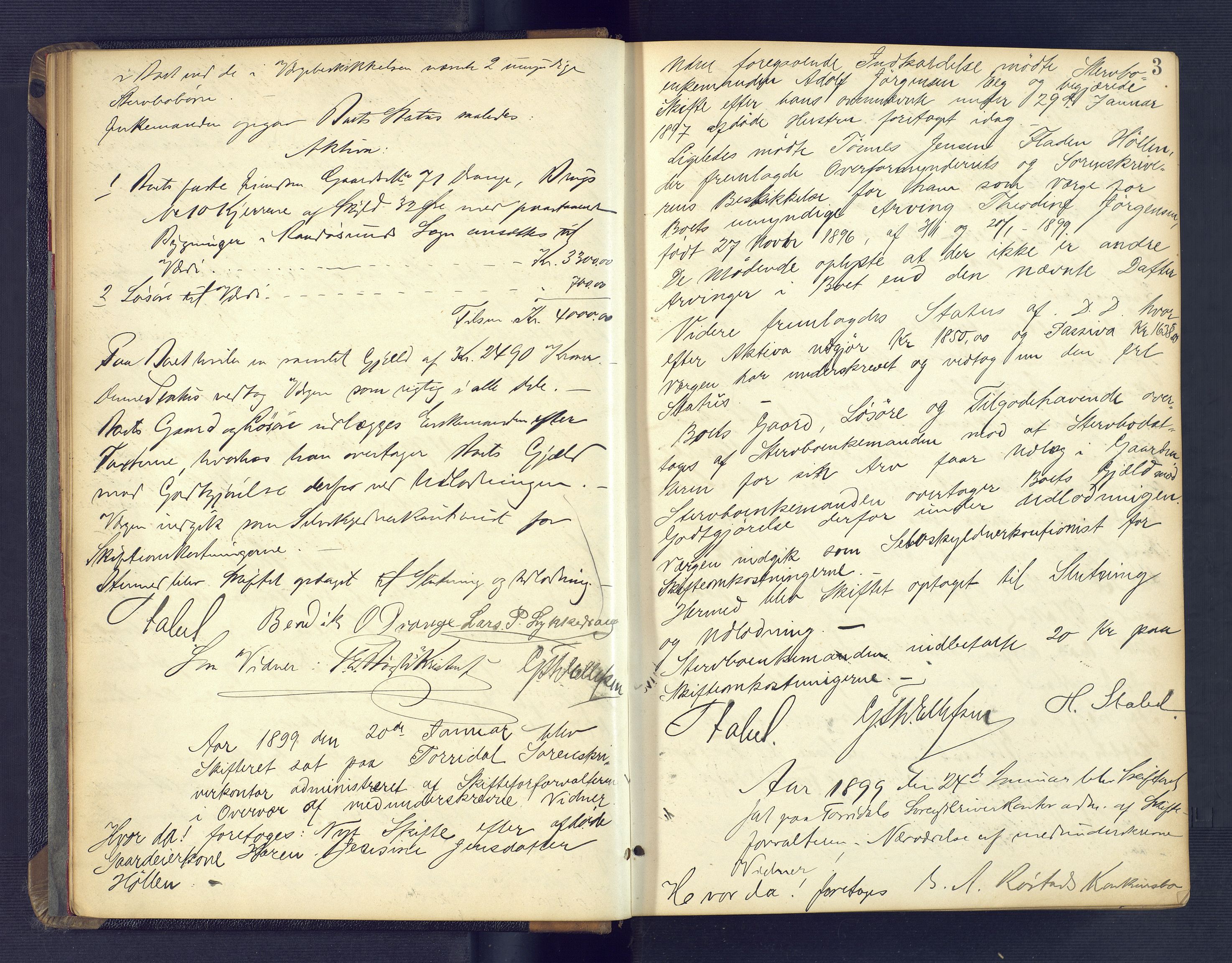 Torridal sorenskriveri, AV/SAK-1221-0012/H/Hc/L0019: Skifteforhandlingsprotokoll med navneregister nr. 5, 1899-1903, p. 2b-3a