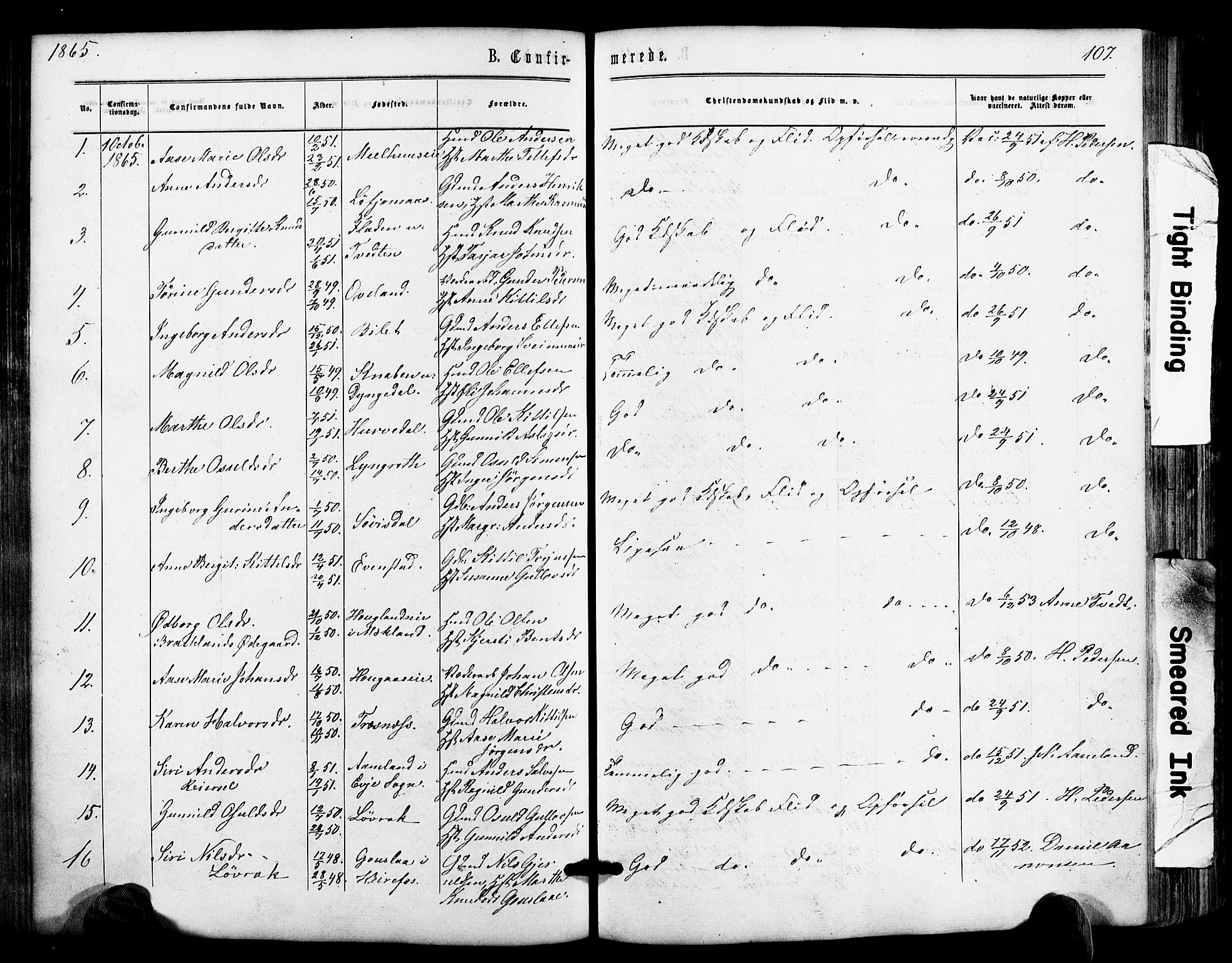 Froland sokneprestkontor, SAK/1111-0013/F/Fa/L0003: Parish register (official) no. A 3, 1864-1881, p. 107