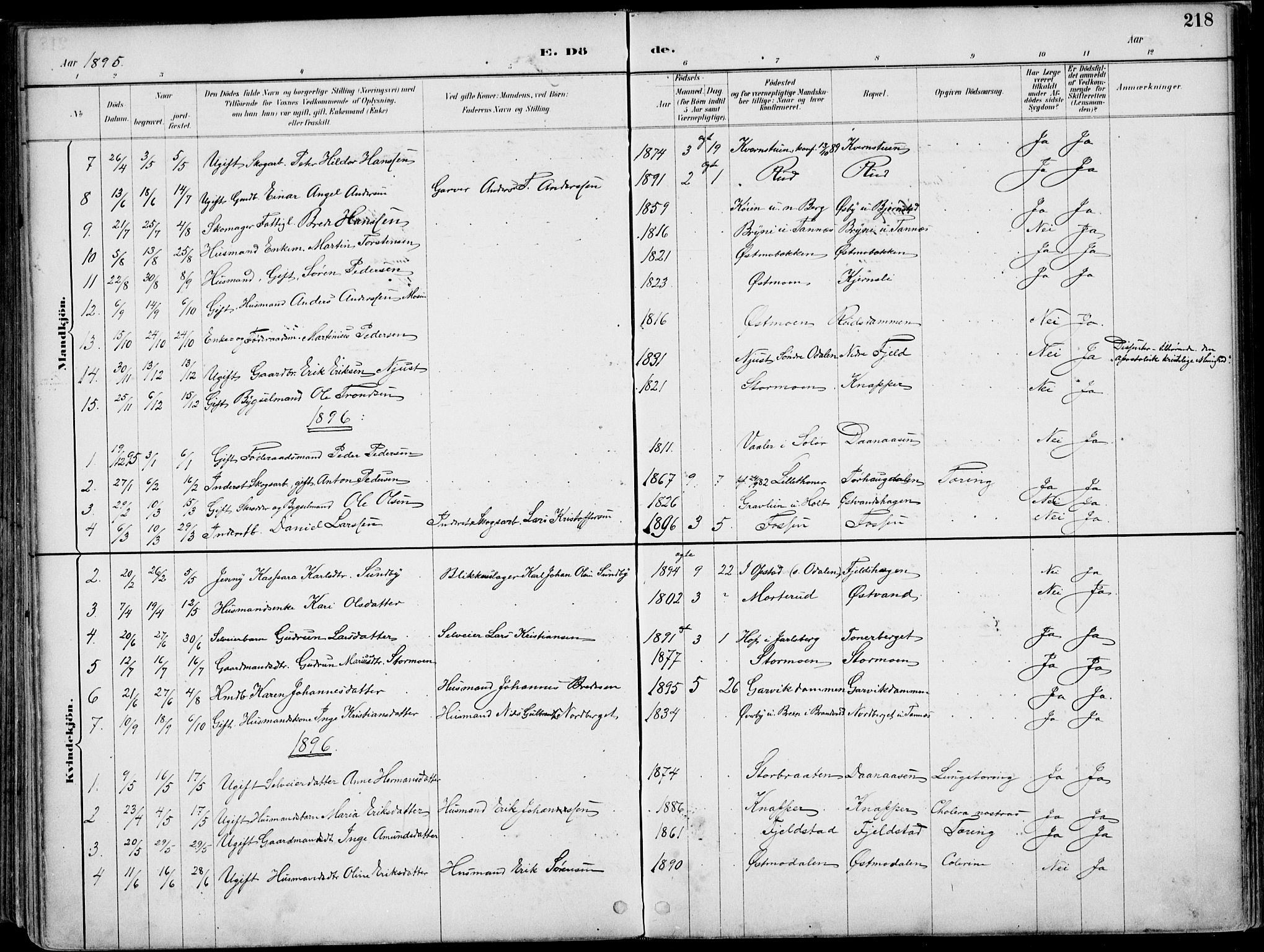 Nord-Odal prestekontor, SAH/PREST-032/H/Ha/Haa/L0008: Parish register (official) no. 8, 1886-1901, p. 218