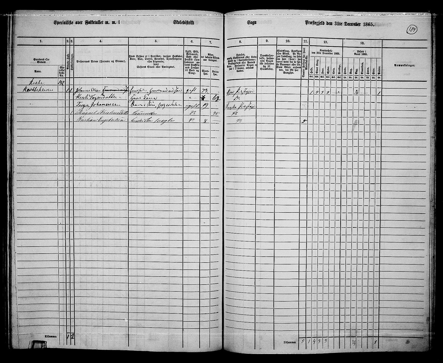 RA, 1865 census for Ringebu, 1865, p. 164