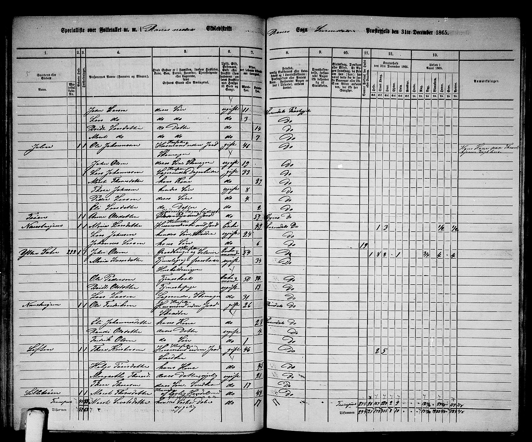 RA, 1865 census for Surnadal, 1865, p. 88