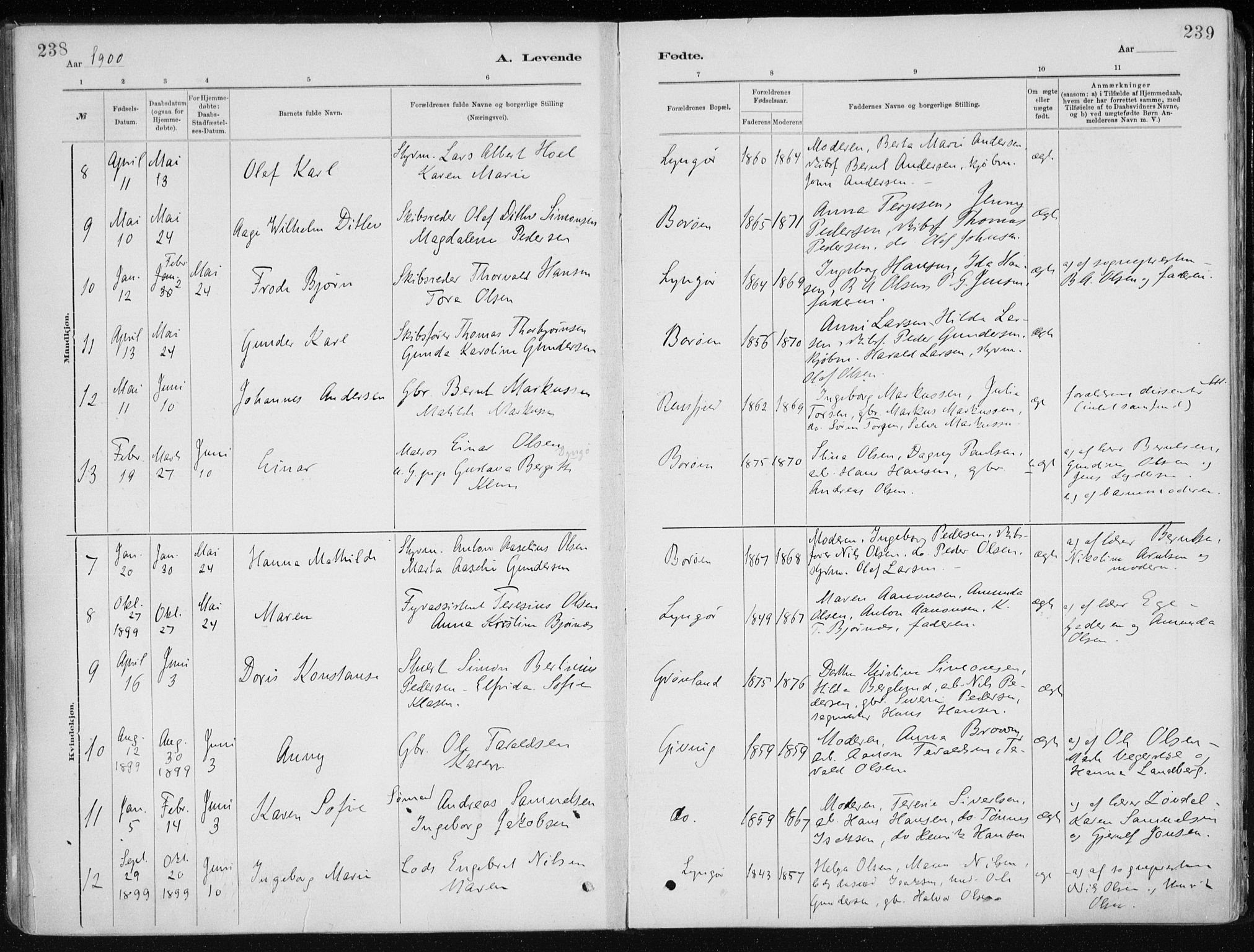 Dypvåg sokneprestkontor, SAK/1111-0007/F/Fa/Faa/L0008: Parish register (official) no. A 8, 1885-1906, p. 238-239
