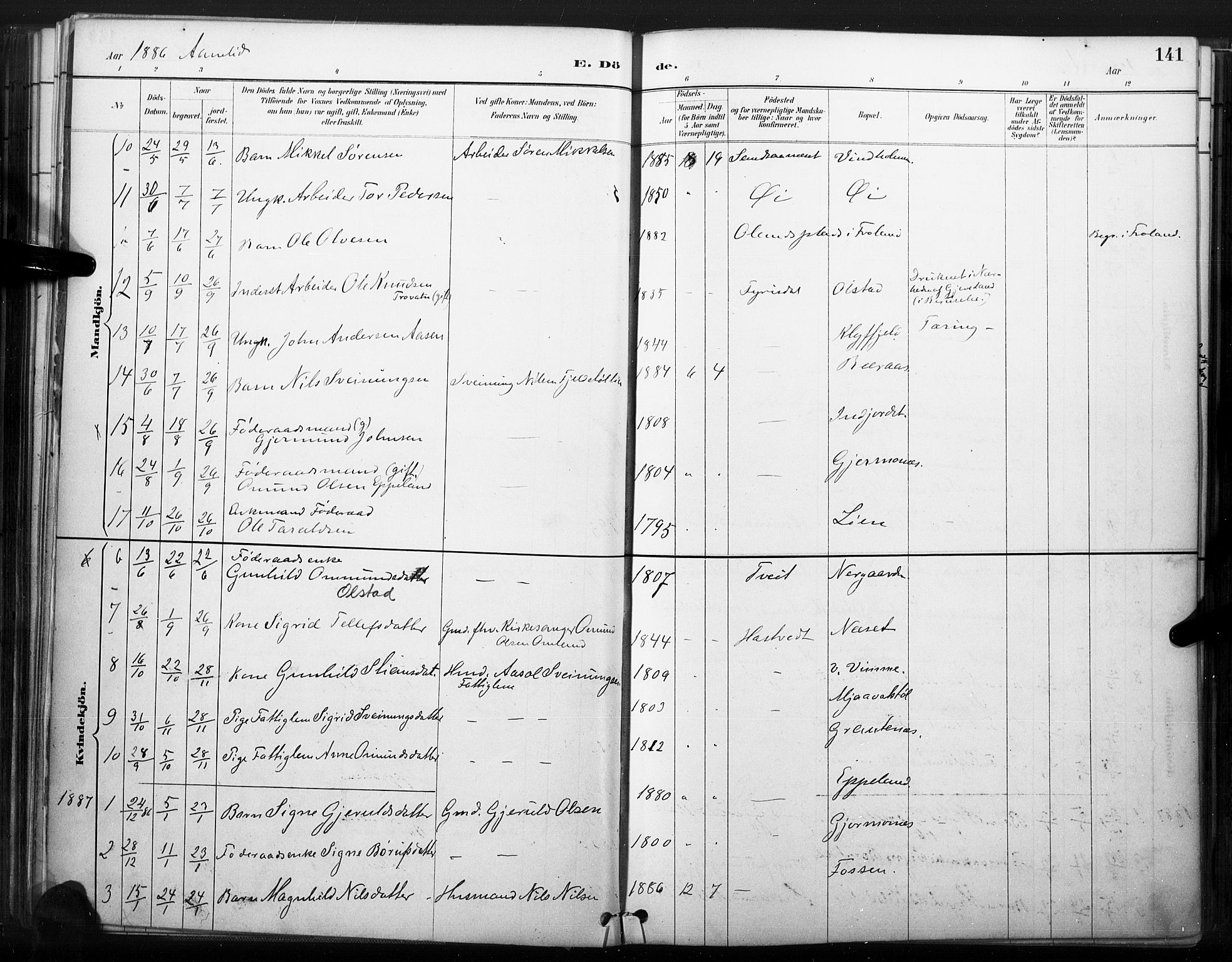 Åmli sokneprestkontor, AV/SAK-1111-0050/F/Fa/Fac/L0010: Parish register (official) no. A 10 /1, 1885-1899, p. 141