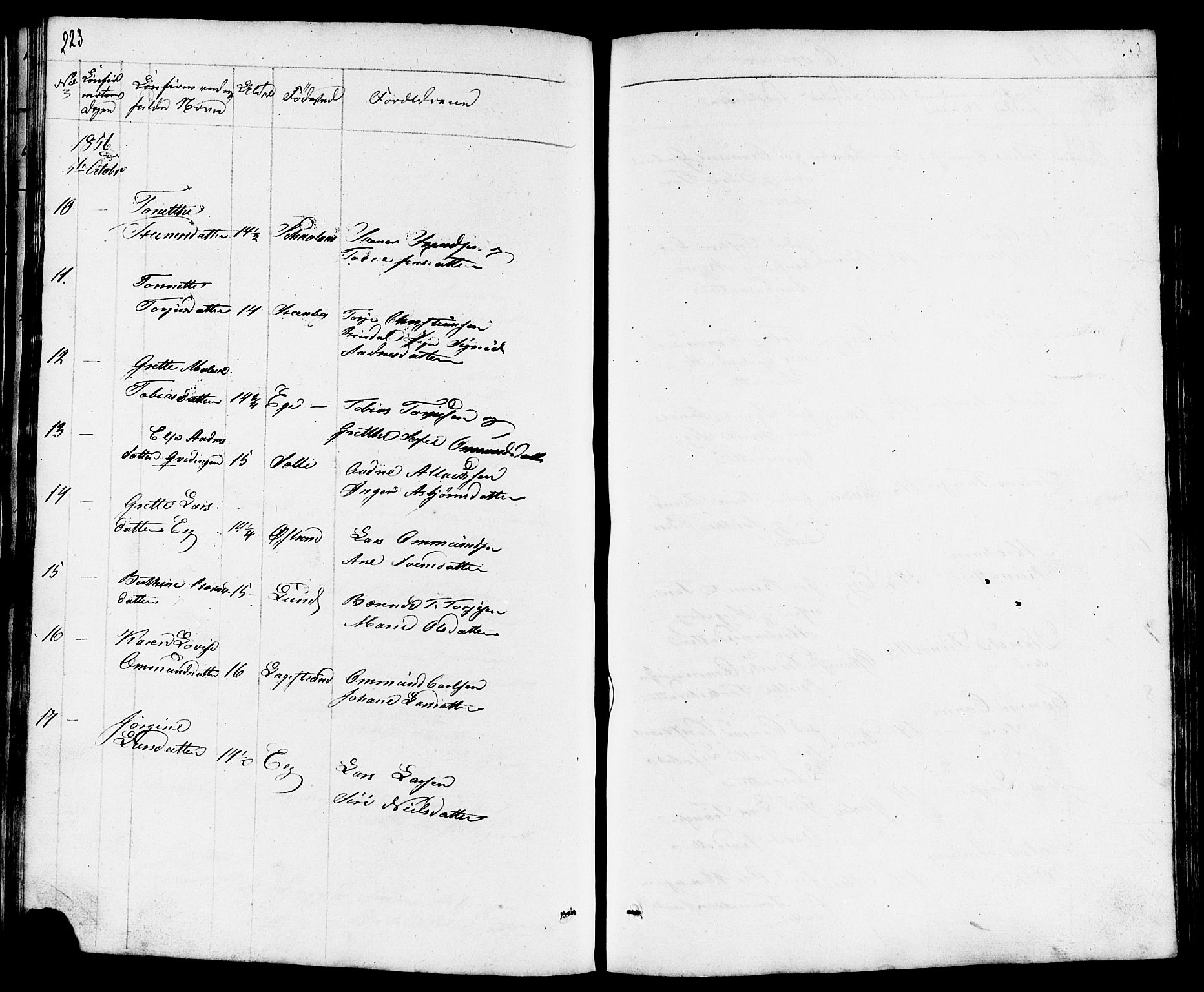 Lund sokneprestkontor, AV/SAST-A-101809/S07/L0003: Parish register (copy) no. B 3, 1848-1885, p. 223