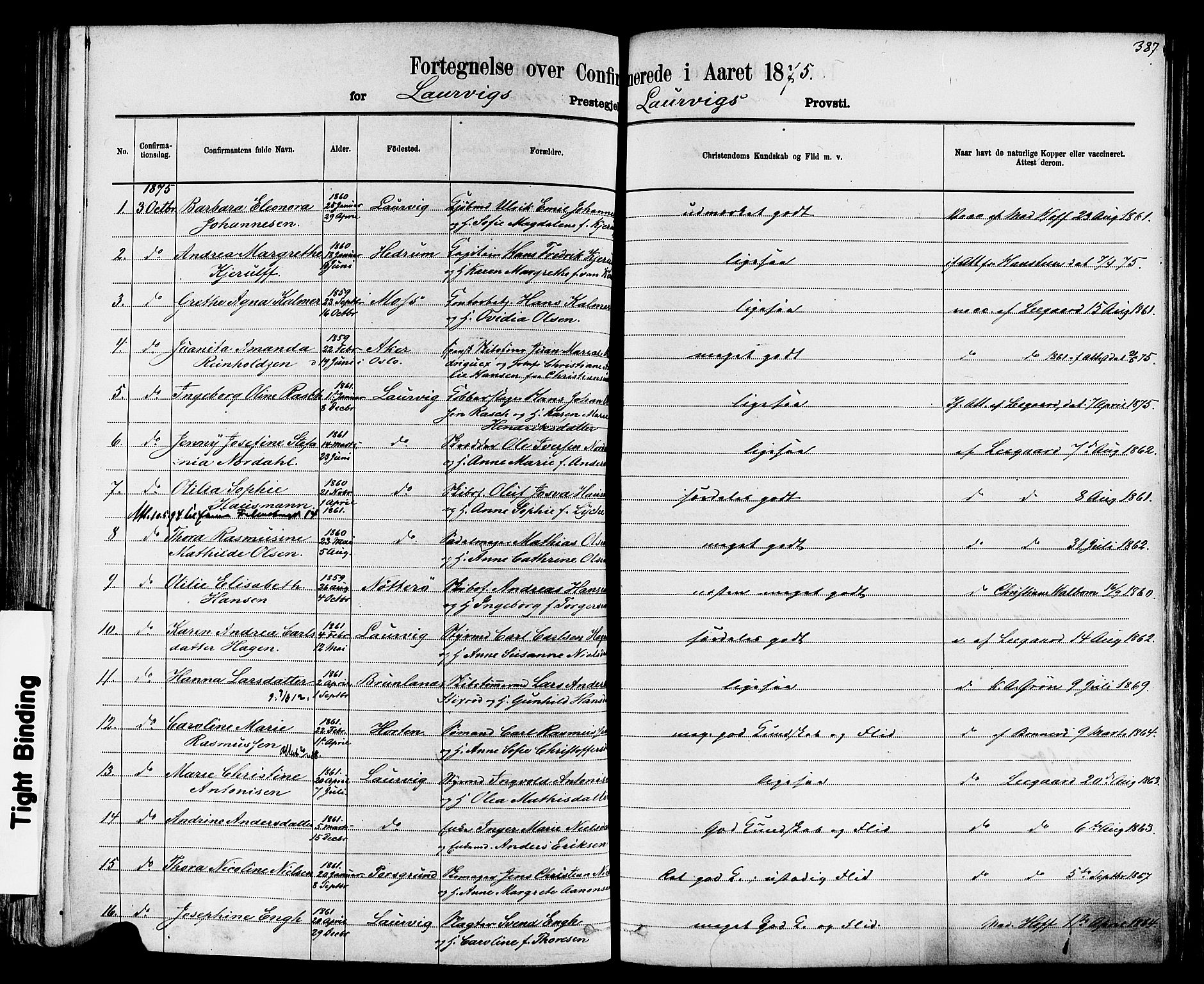 Larvik kirkebøker, AV/SAKO-A-352/F/Fa/L0006: Parish register (official) no. I 6, 1871-1883, p. 387