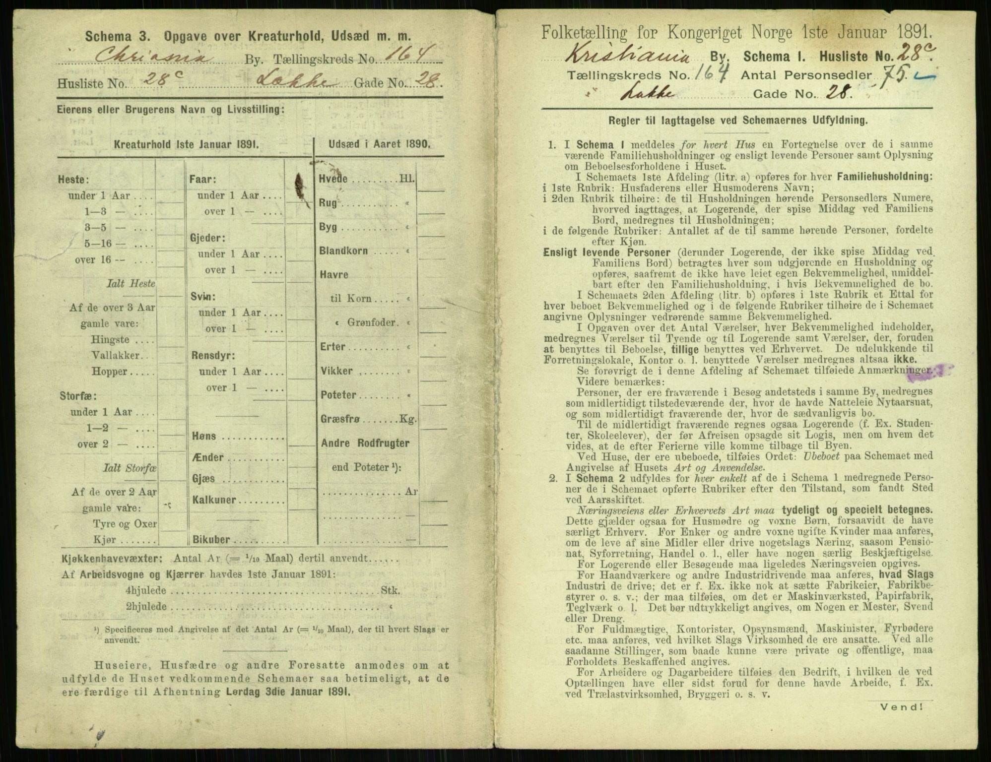 RA, 1891 census for 0301 Kristiania, 1891, p. 94438