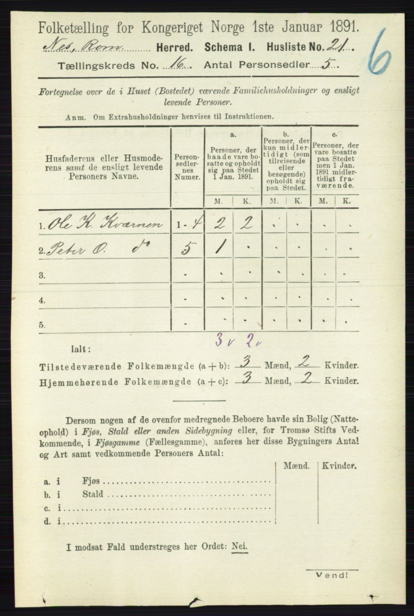 RA, 1891 census for 0236 Nes, 1891, p. 9519