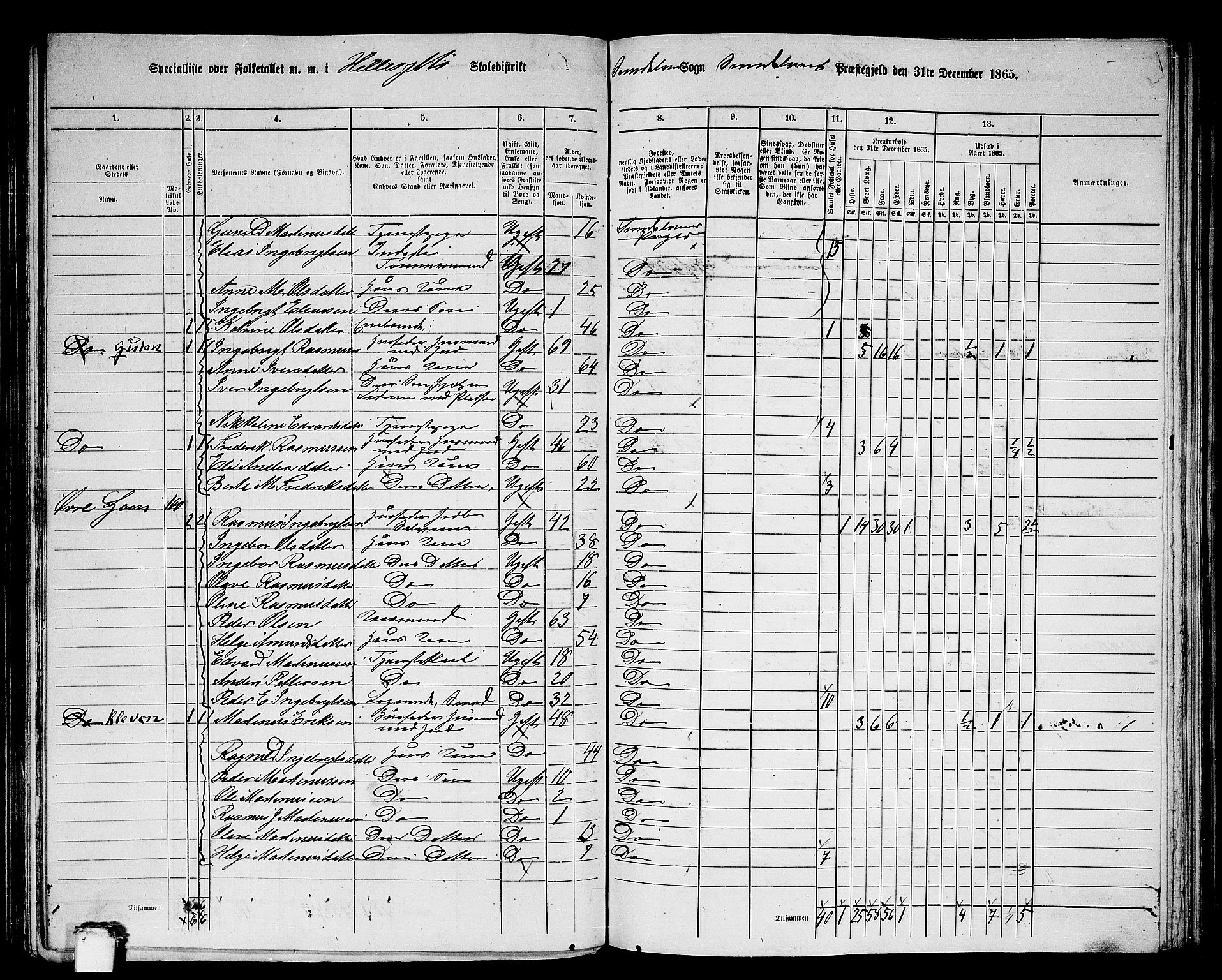 RA, 1865 census for Sunnylven, 1865, p. 15