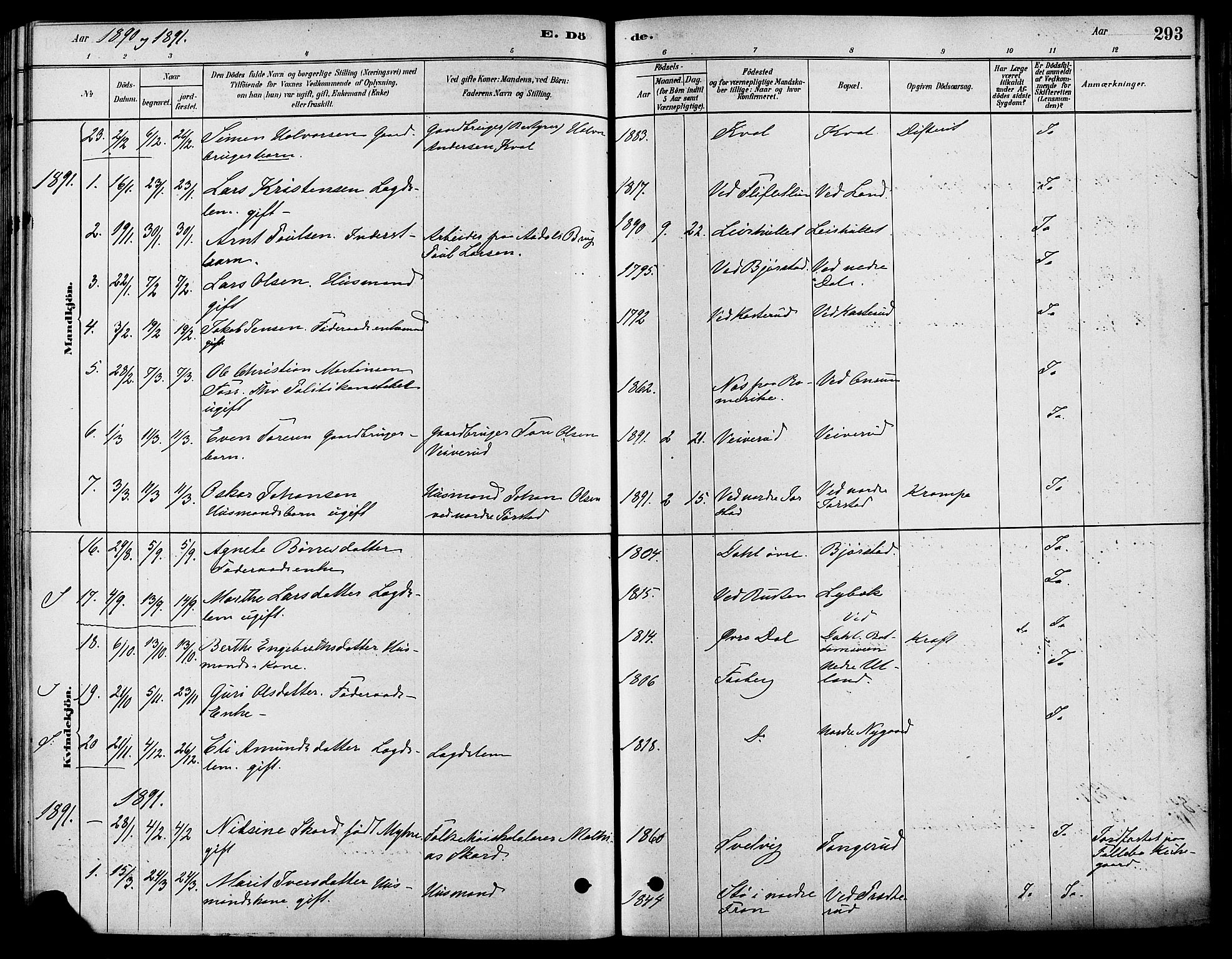 Fåberg prestekontor, SAH/PREST-086/H/Ha/Haa/L0008: Parish register (official) no. 8, 1879-1898, p. 293