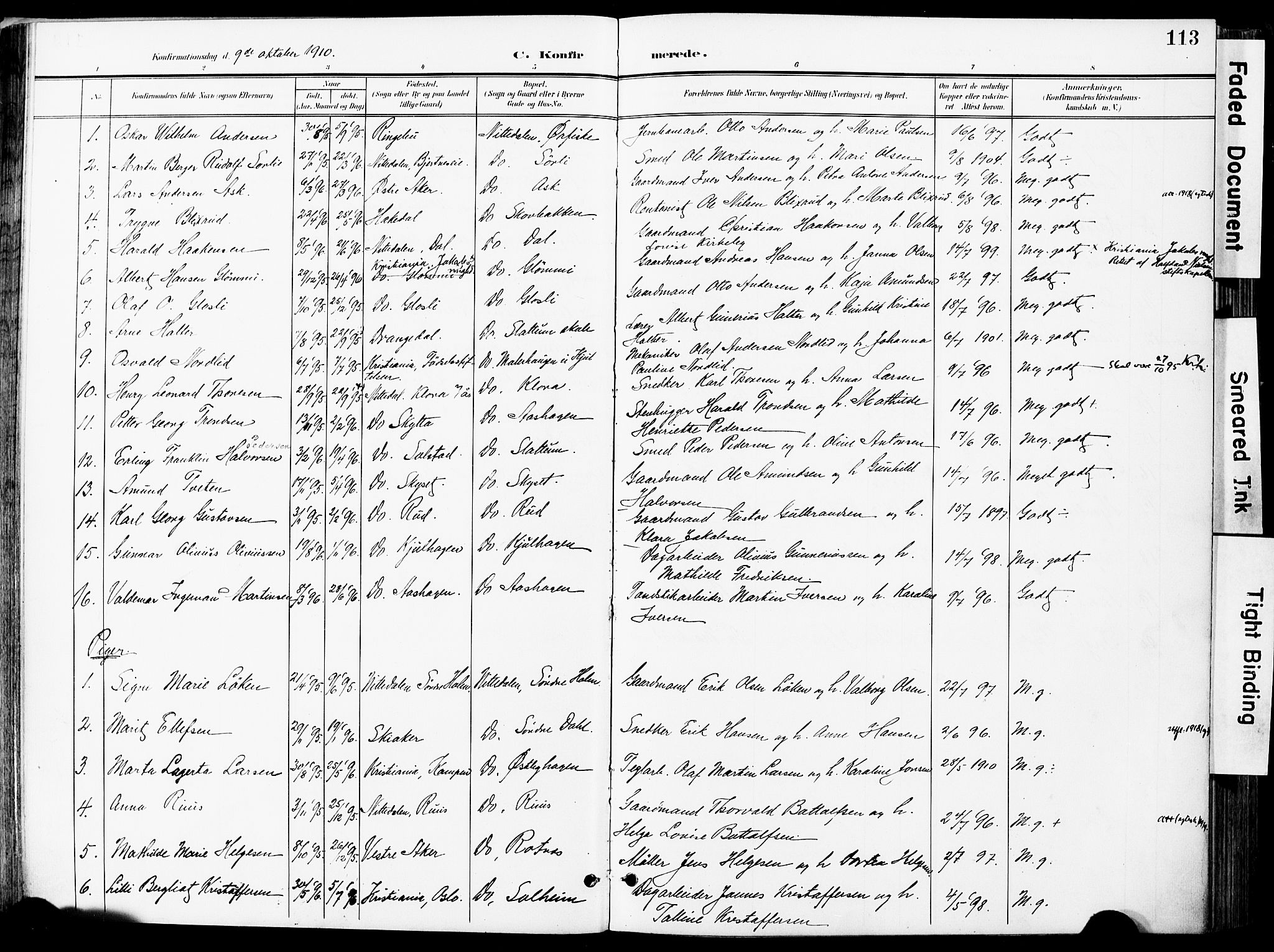Nittedal prestekontor Kirkebøker, SAO/A-10365a/F/Fa/L0008: Parish register (official) no. I 8, 1902-1926, p. 113