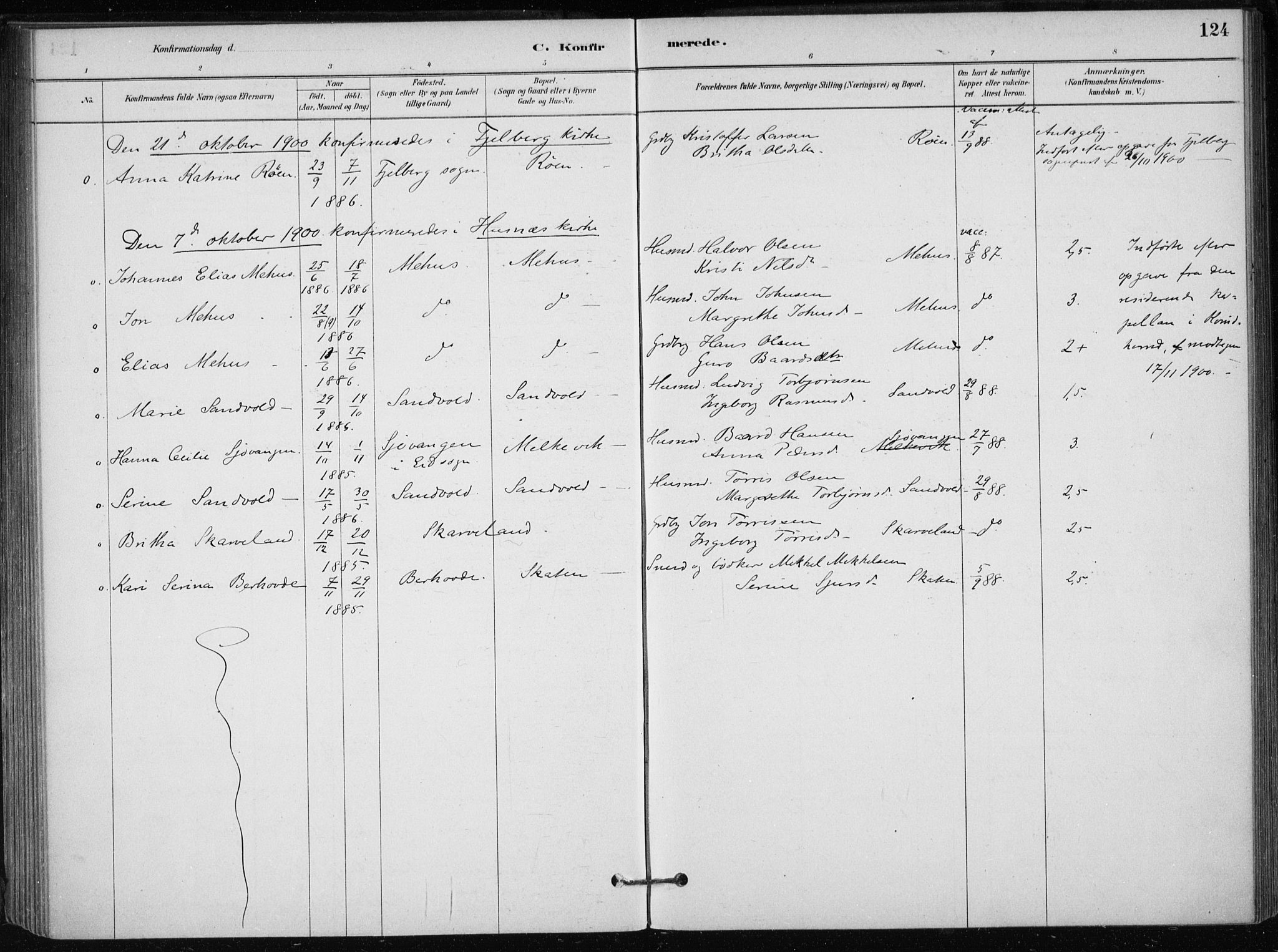 Skånevik sokneprestembete, SAB/A-77801/H/Haa: Parish register (official) no. C  1, 1879-1917, p. 124
