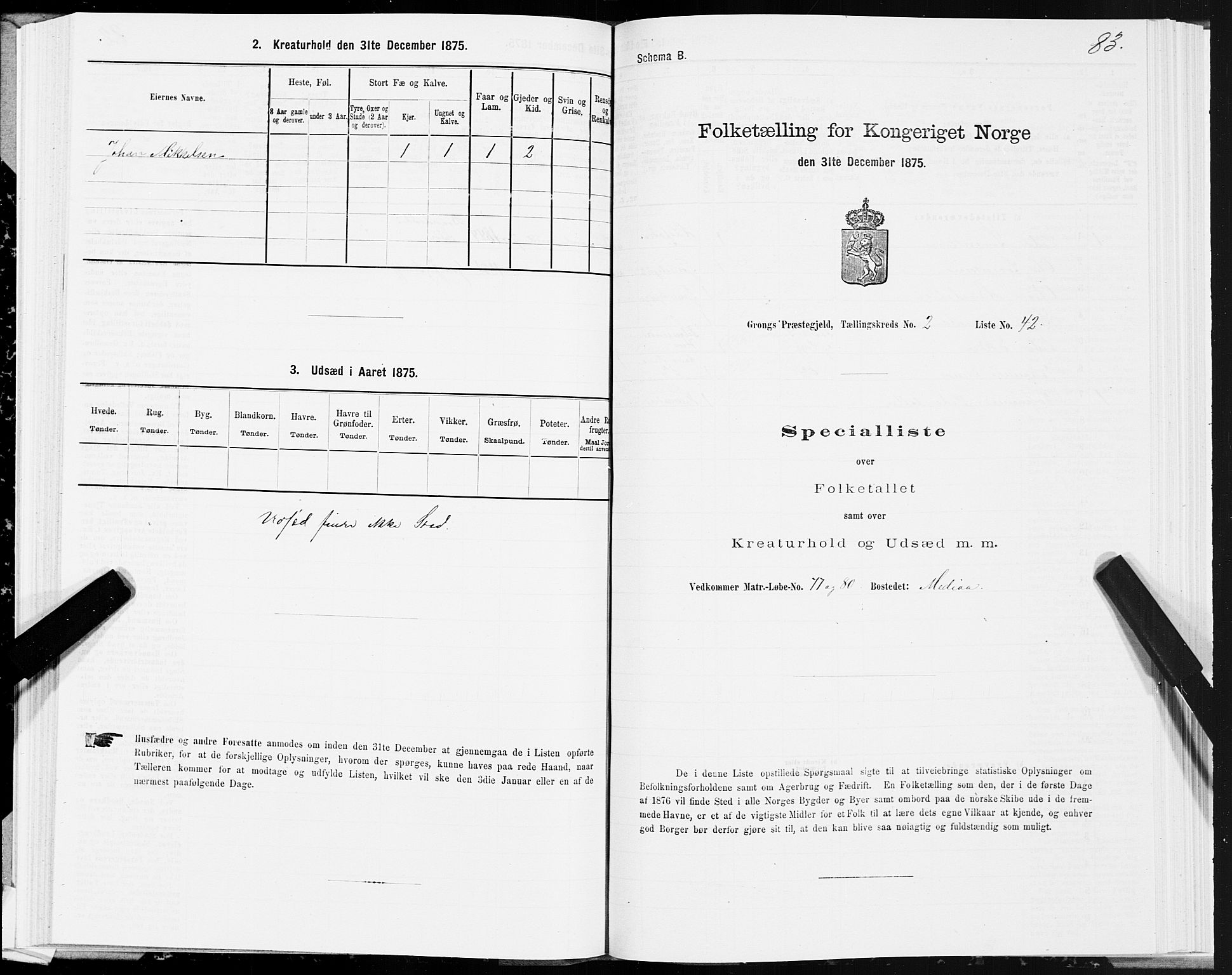 SAT, 1875 census for 1742P Grong, 1875, p. 2083