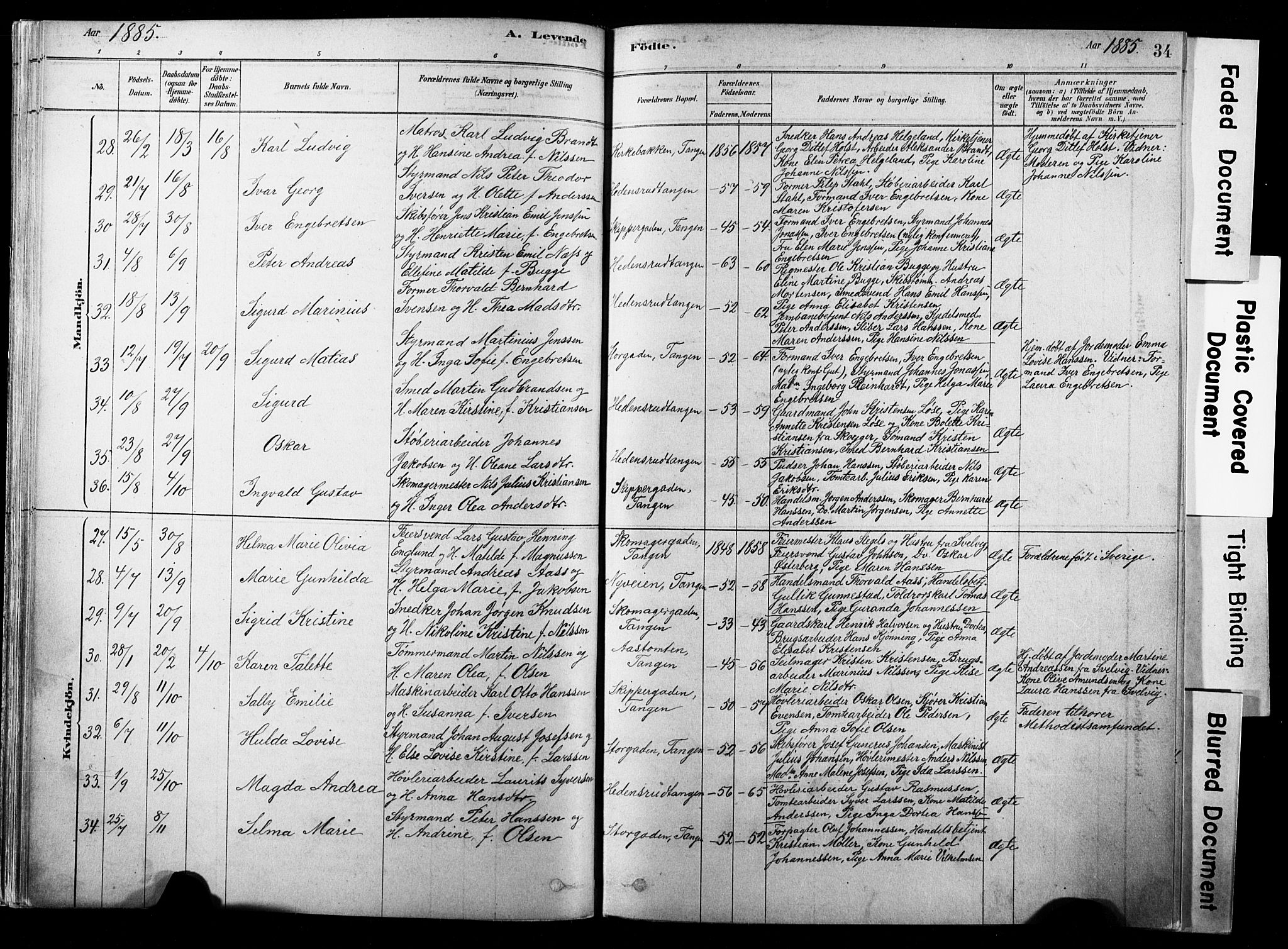 Strømsø kirkebøker, AV/SAKO-A-246/F/Fb/L0006: Parish register (official) no. II 6, 1879-1910, p. 34