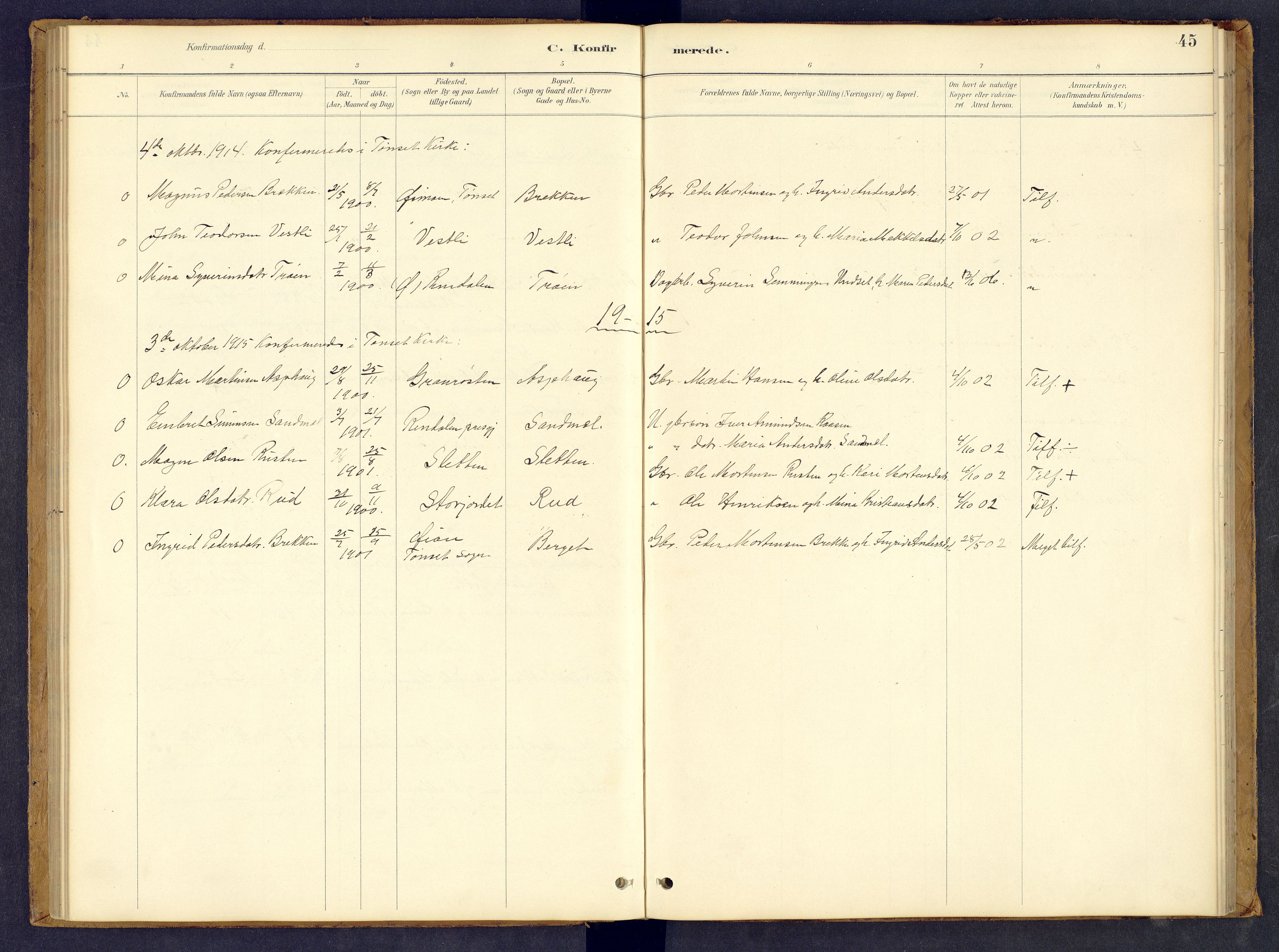 Tynset prestekontor, SAH/PREST-058/H/Ha/Hab/L0008: Parish register (copy) no. 8, 1884-1916, p. 45