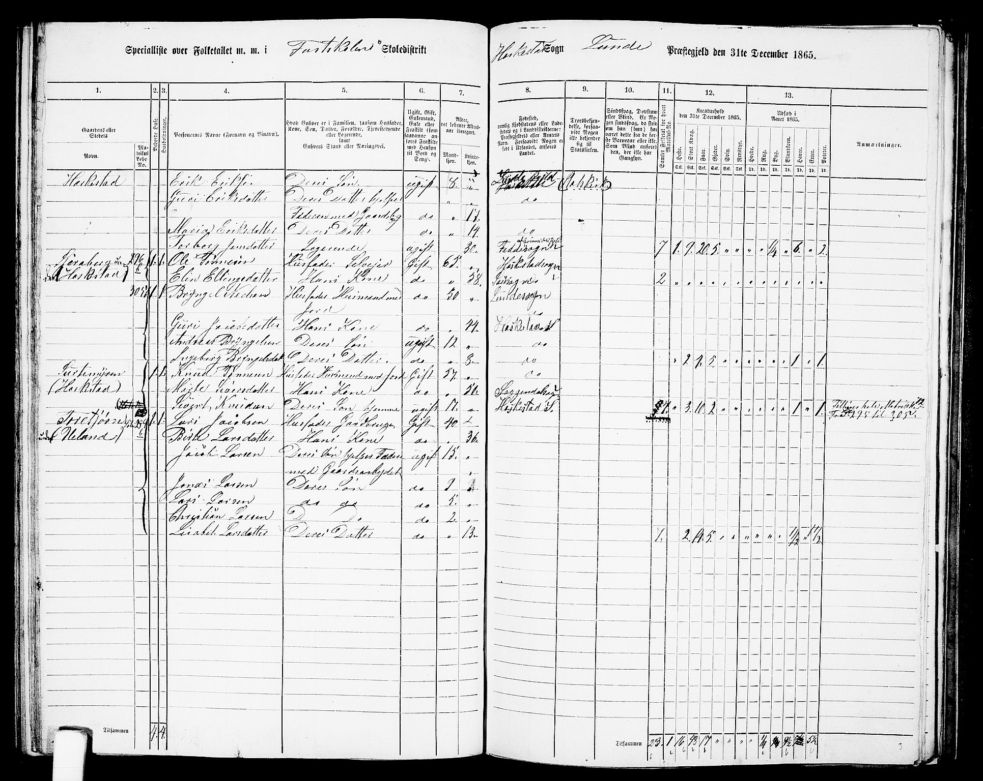 RA, 1865 census for Lund, 1865, p. 82