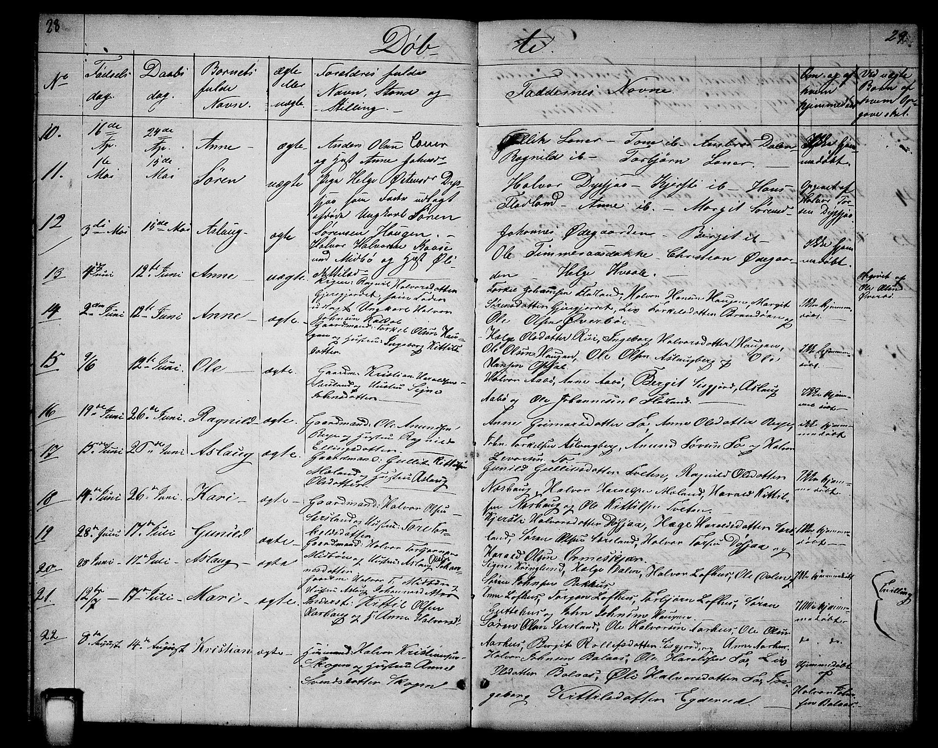 Hjartdal kirkebøker, SAKO/A-270/G/Ga/L0002: Parish register (copy) no. I 2, 1854-1888, p. 28-29