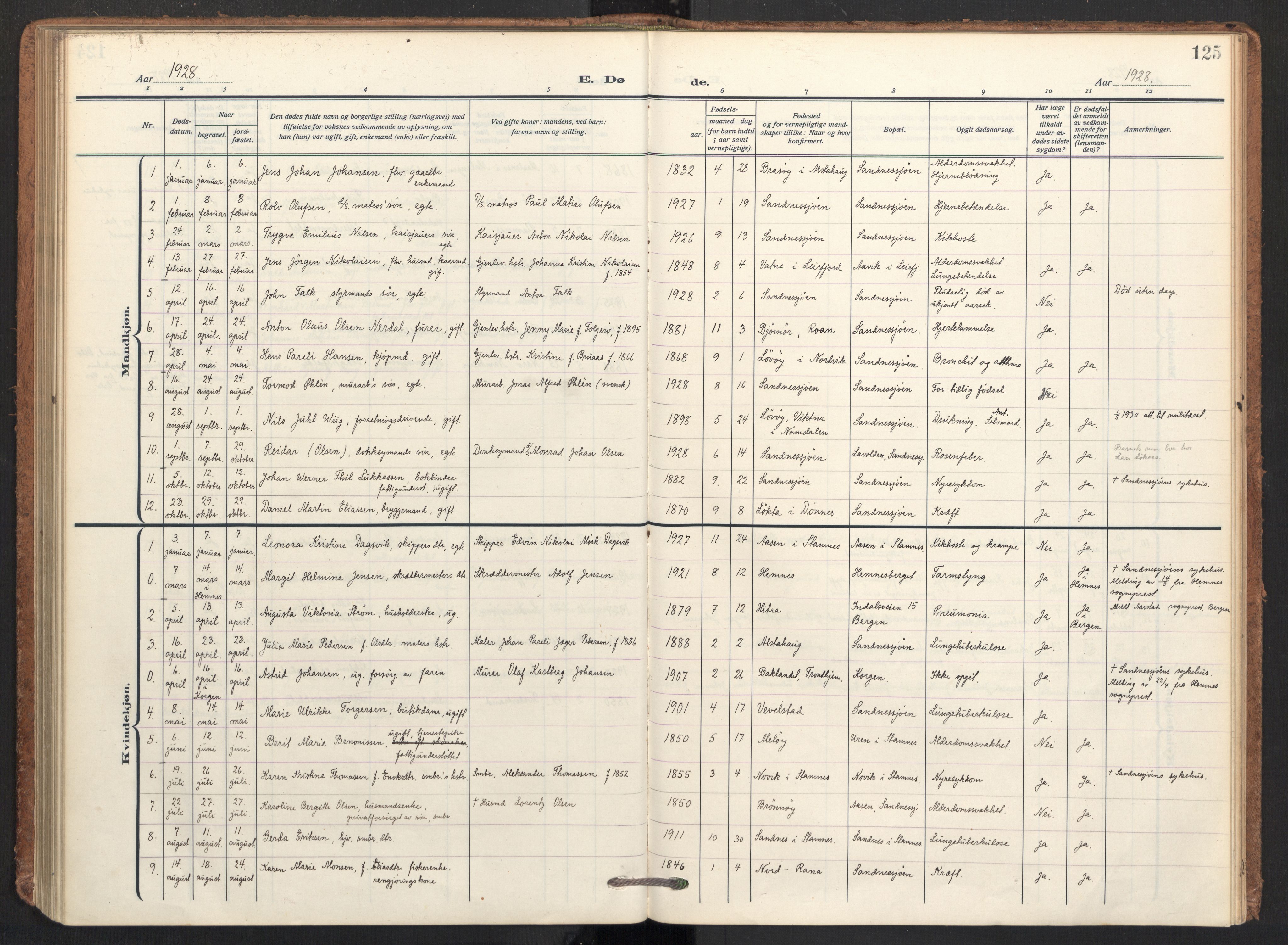 Ministerialprotokoller, klokkerbøker og fødselsregistre - Nordland, AV/SAT-A-1459/831/L0473: Parish register (official) no. 831A04, 1909-1934, p. 125