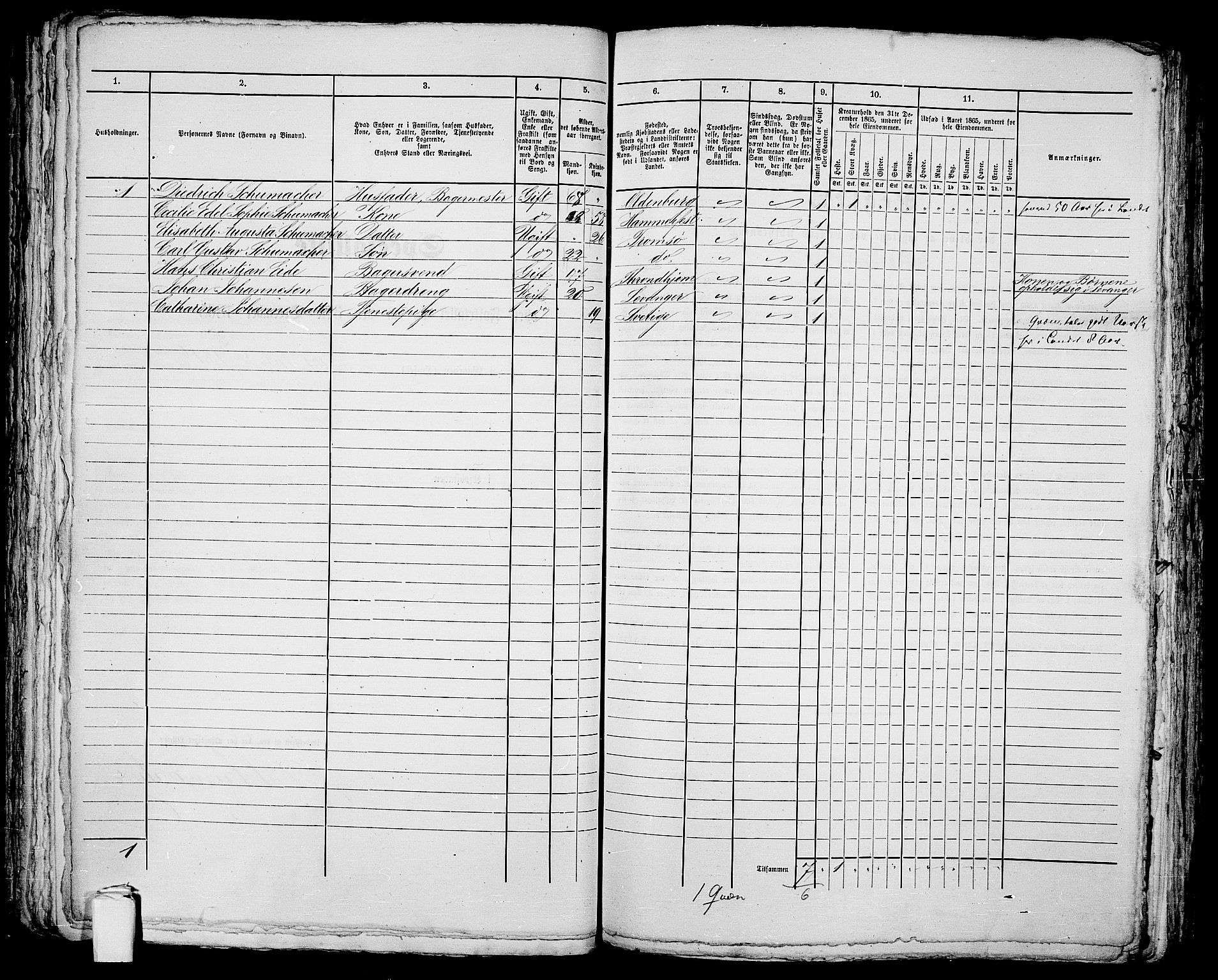 RA, 1865 census for Tromsø, 1865, p. 160