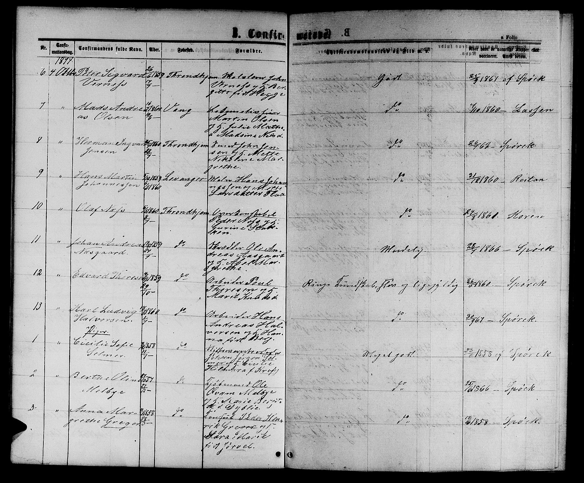 Ministerialprotokoller, klokkerbøker og fødselsregistre - Sør-Trøndelag, AV/SAT-A-1456/601/L0087: Parish register (copy) no. 601C05, 1864-1881, p. 208b