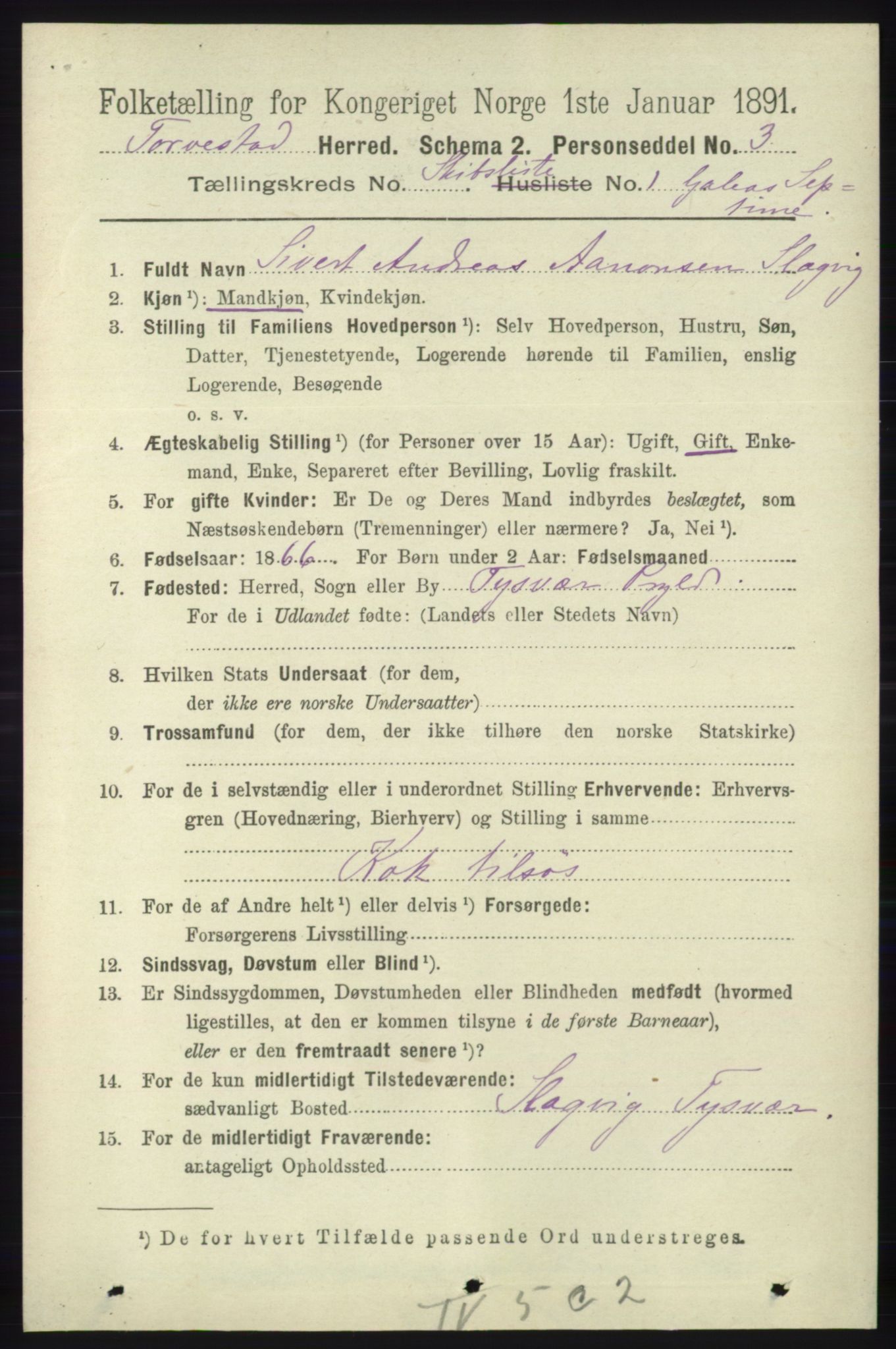 RA, 1891 census for 1152 Torvastad, 1891, p. 2346