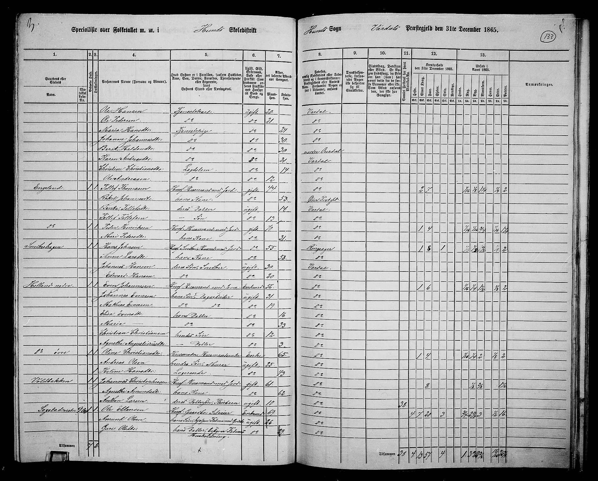 RA, 1865 census for Vardal/Vardal og Hunn, 1865, p. 117