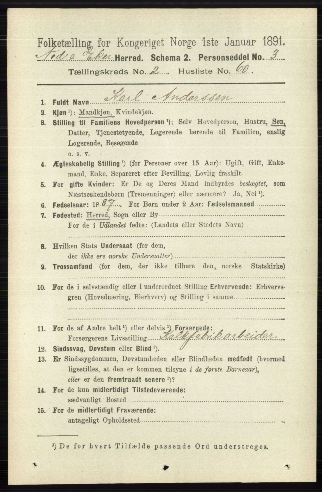 RA, 1891 census for 0625 Nedre Eiker, 1891, p. 875